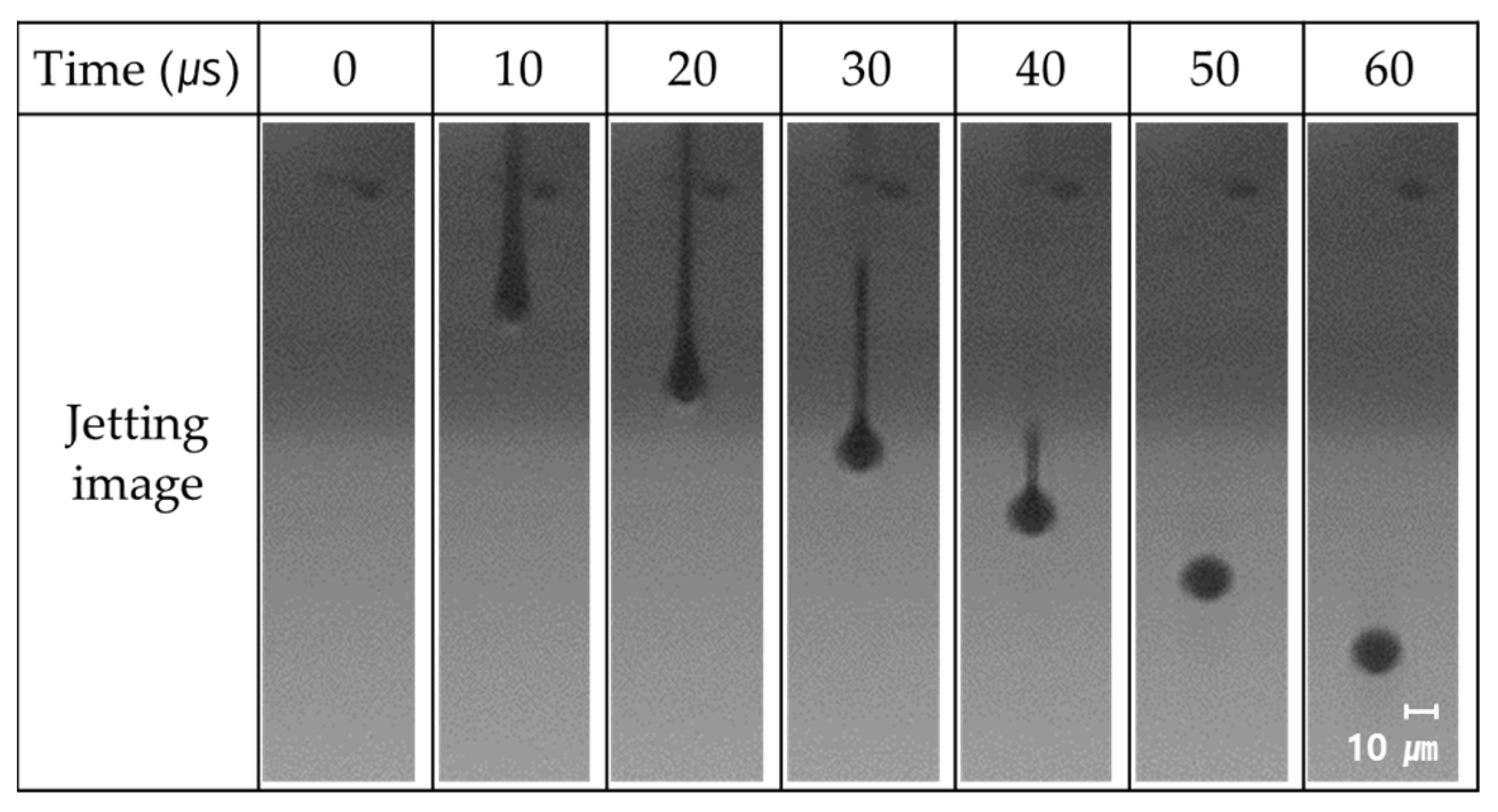 Coatings 13 00683 g003