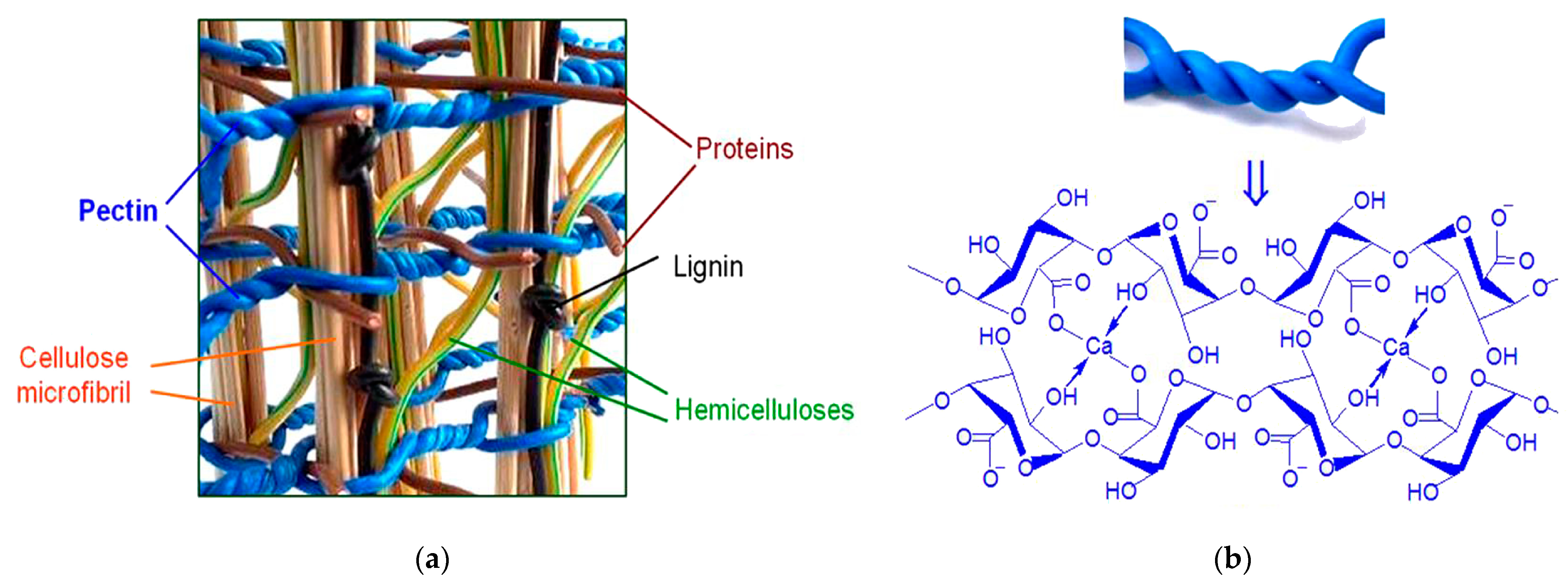 Coatings 13 00684 g001