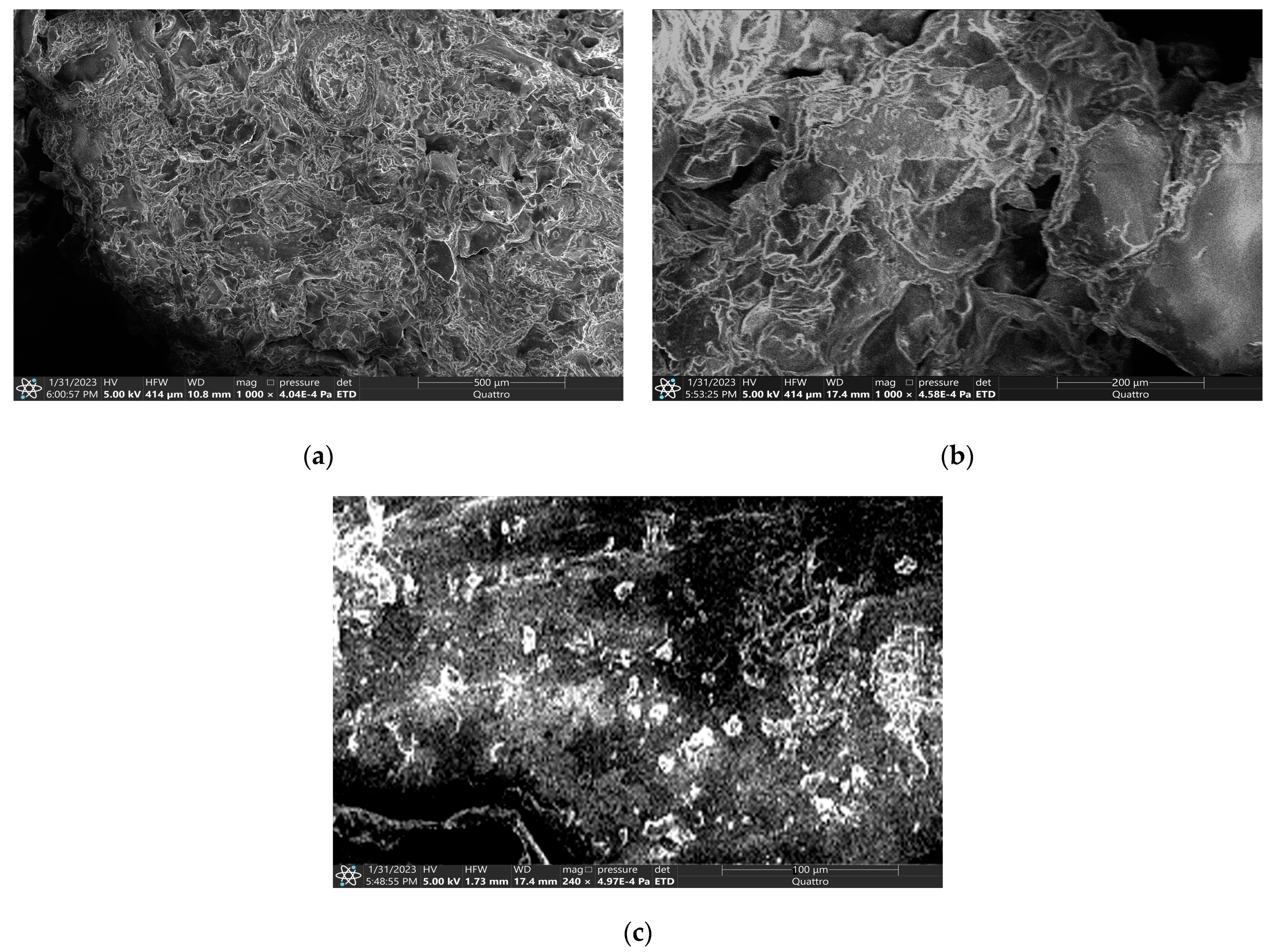 Coatings 13 00684 g003