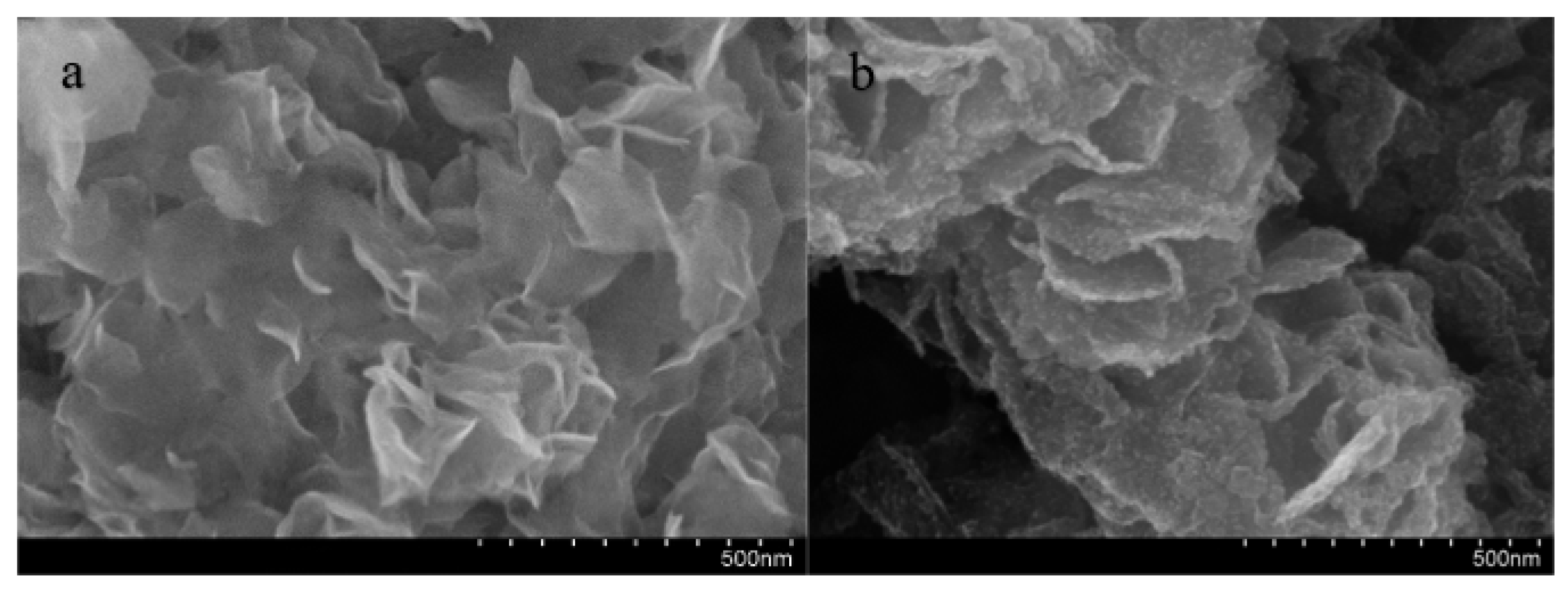 Coatings 13 00686 g006