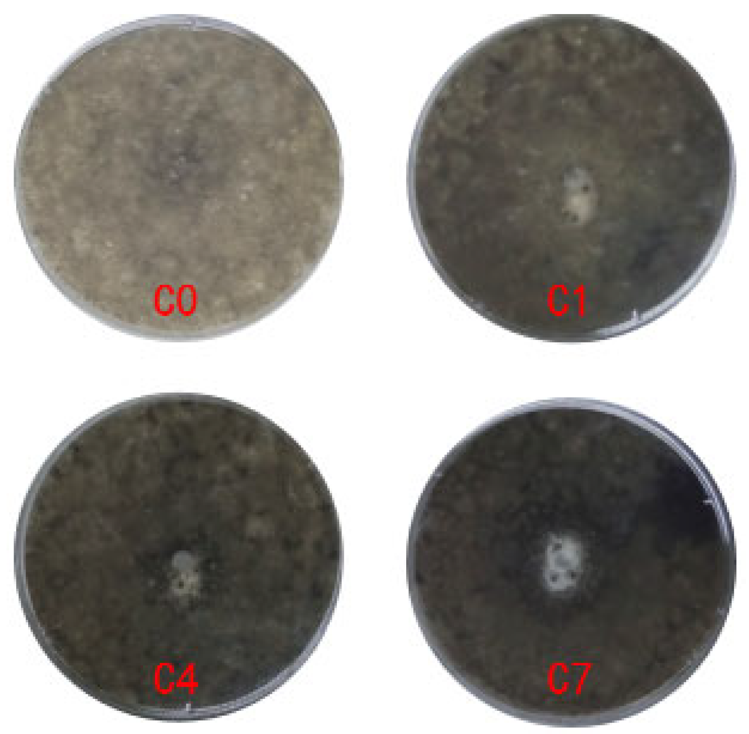 Coatings 13 00687 g002