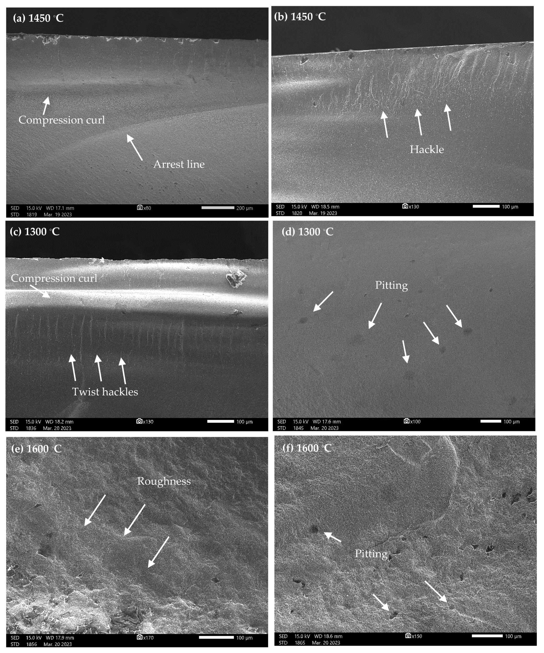 Coatings 13 00688 g004 Coatings 13 00688 g004