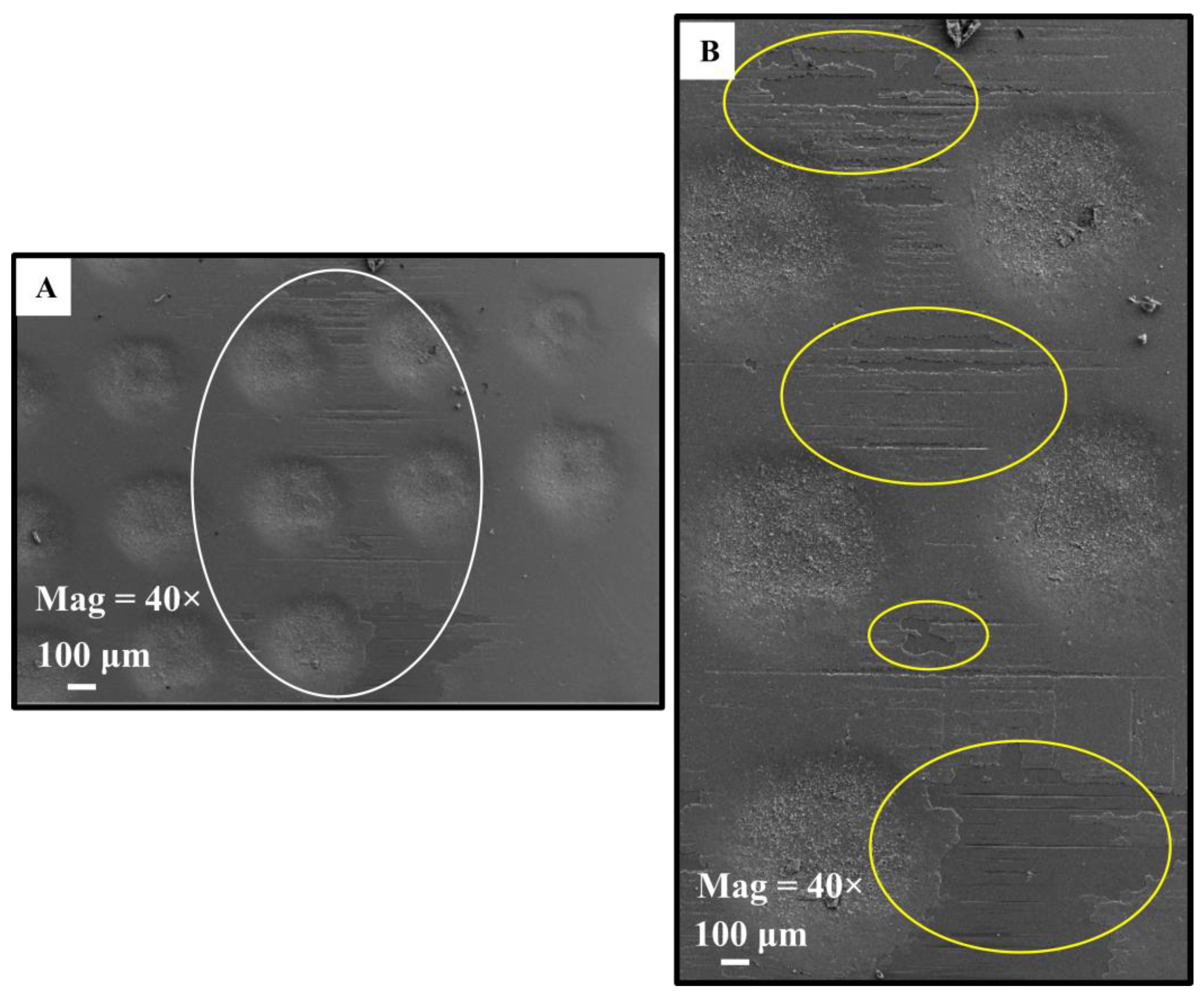 Coatings 13 00692 g010 Coatings 13 00692 g010