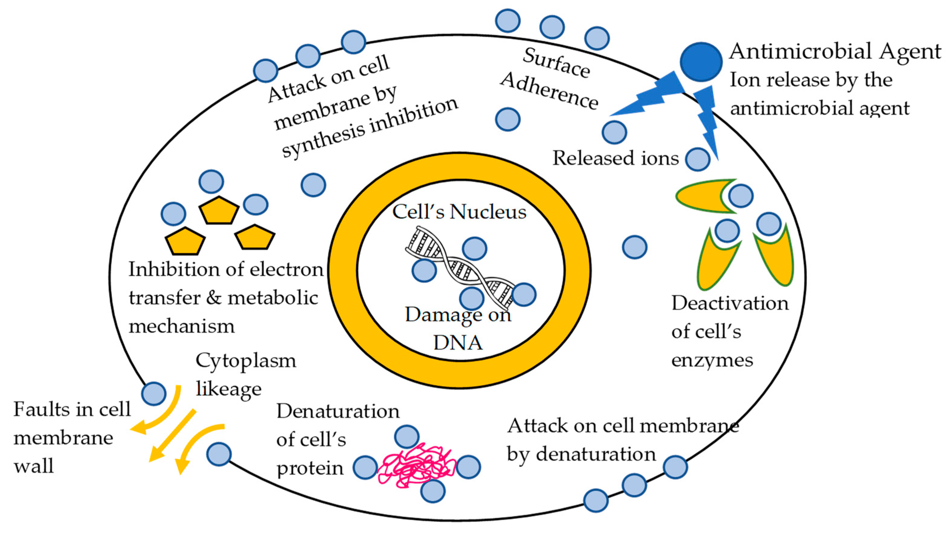 Coatings 13 00693 sch001 Coatings 13 00693 sch001