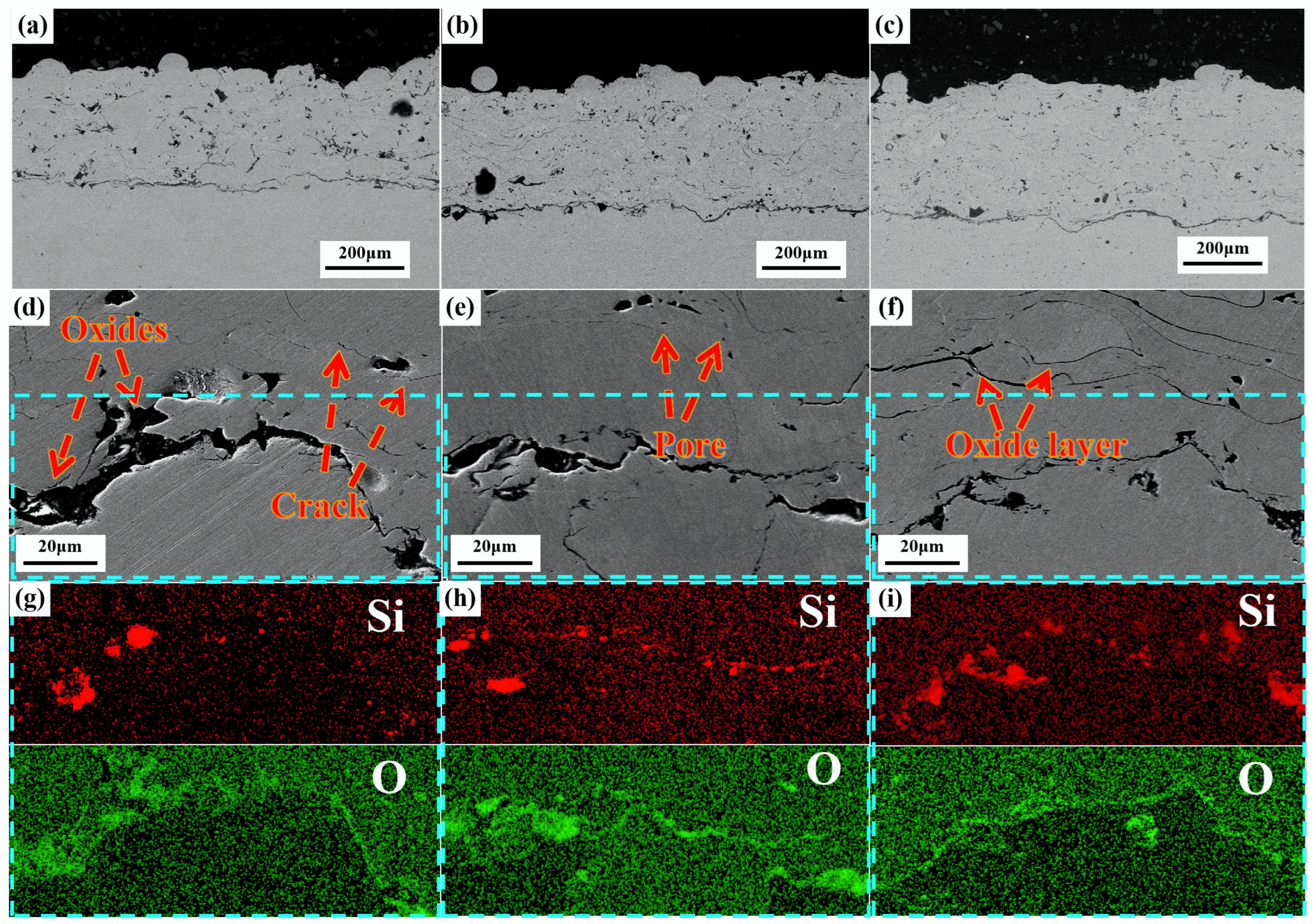 Coatings 13 00694 g002