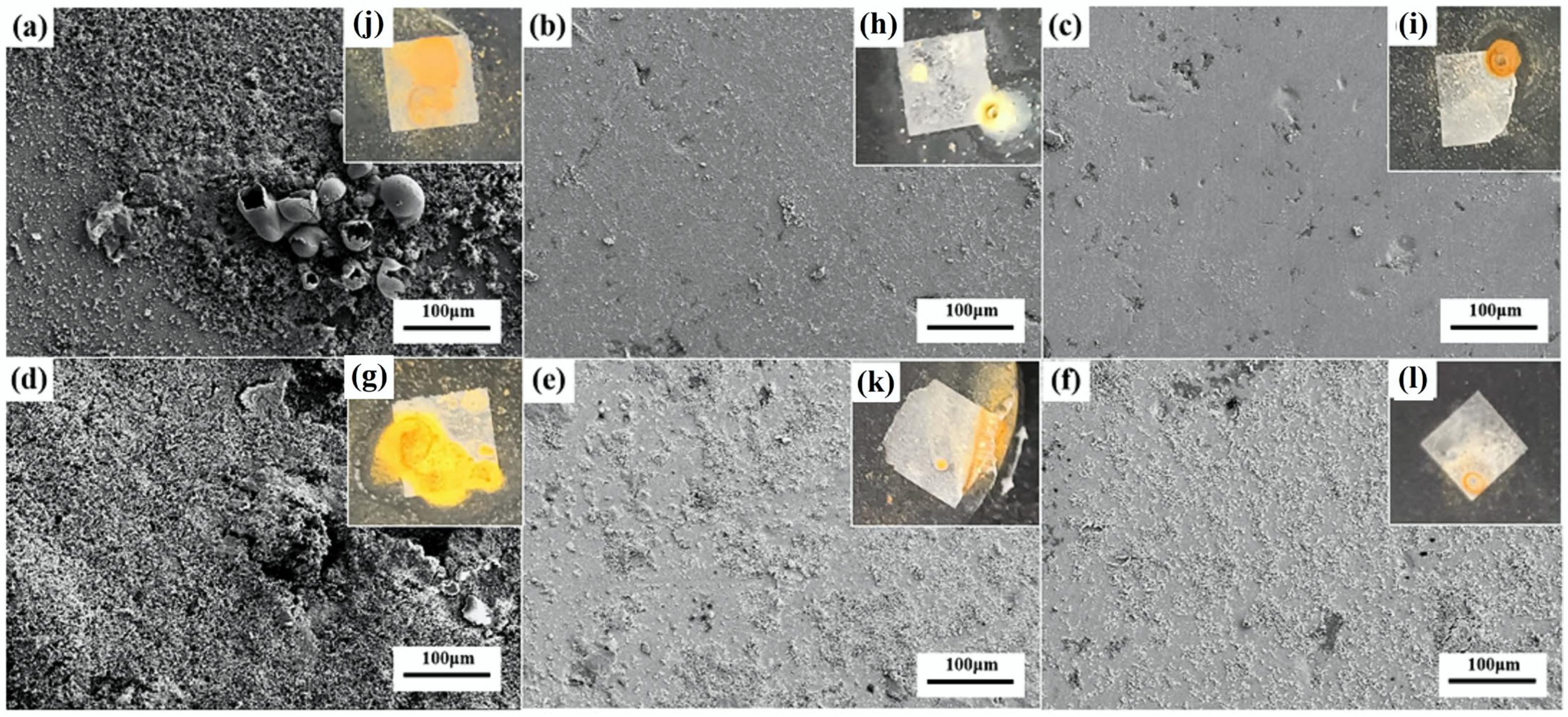 Coatings 13 00694 g010