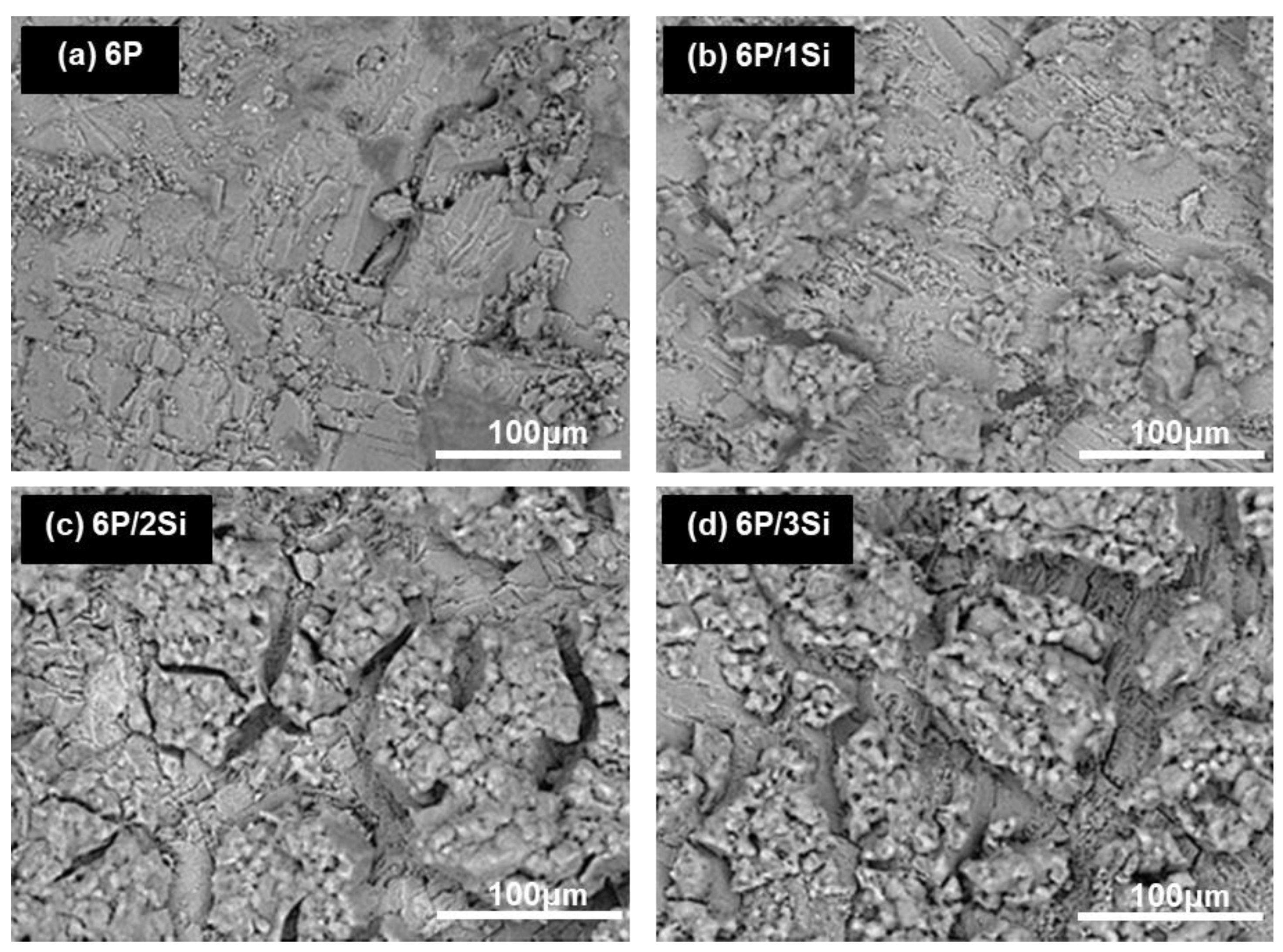 Coatings 13 00700 g003 Coatings 13 00700 g003