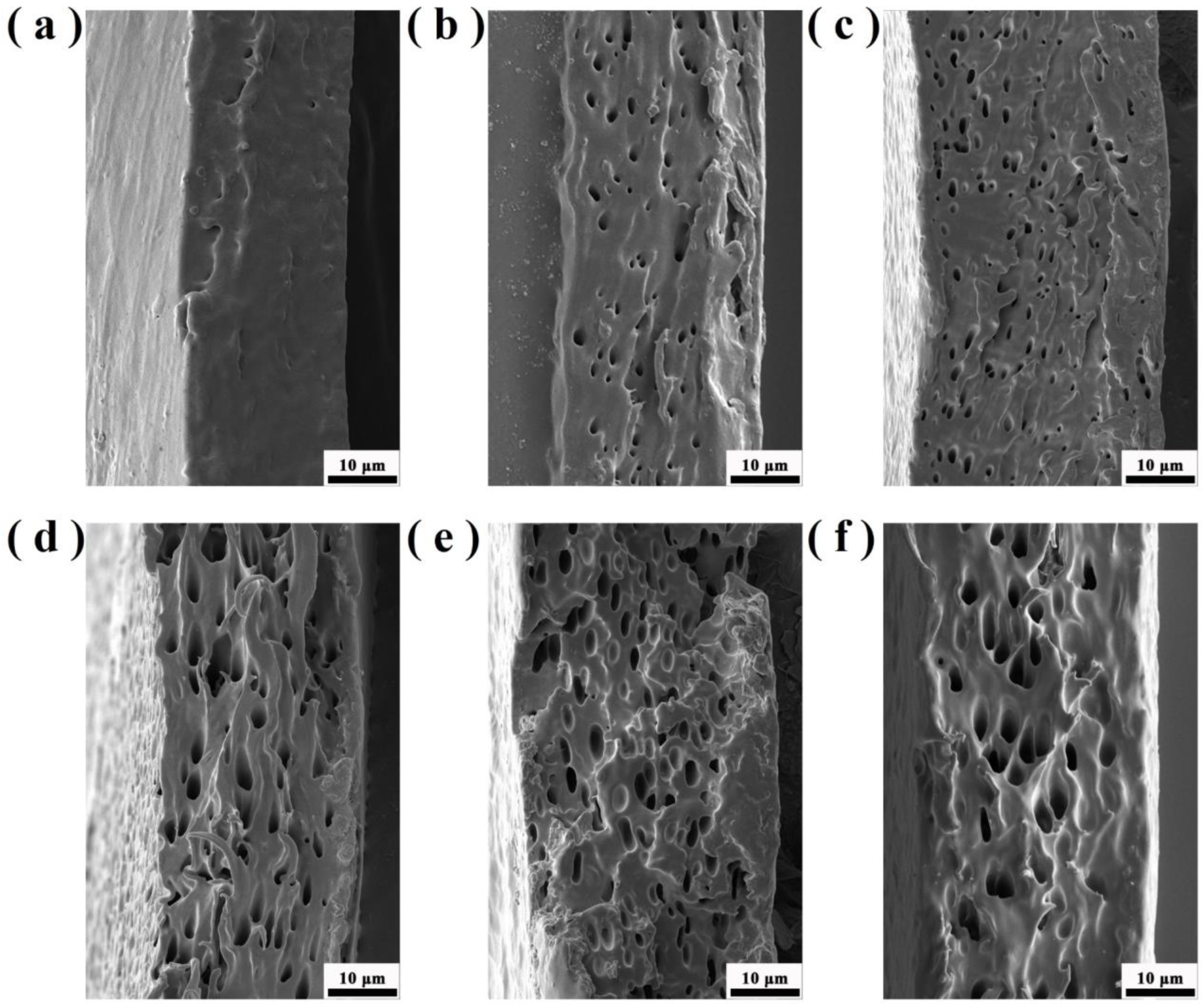 Coatings 13 00703 g011 Coatings 13 00703 g011
