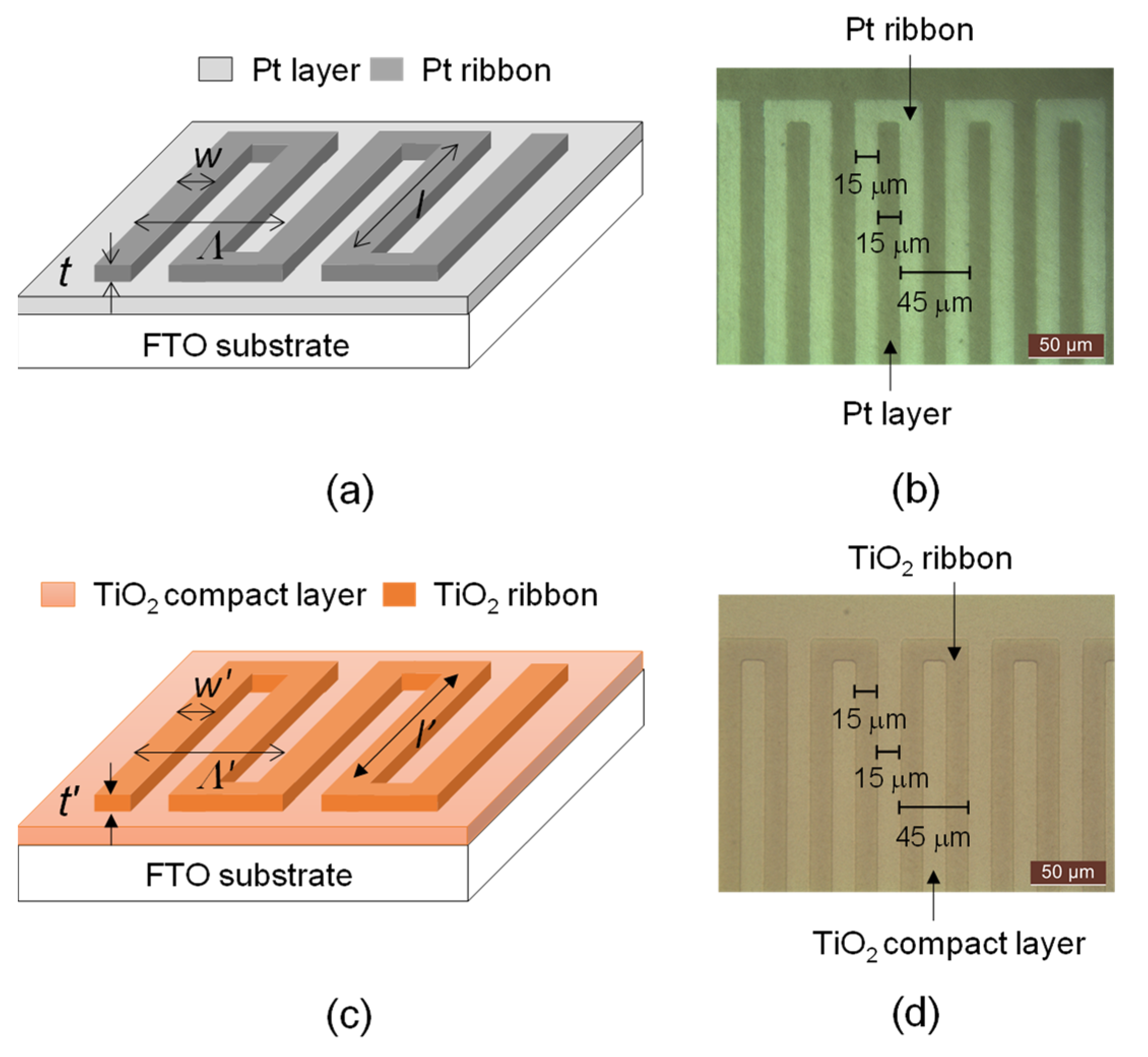 Coatings 13 00705 g001