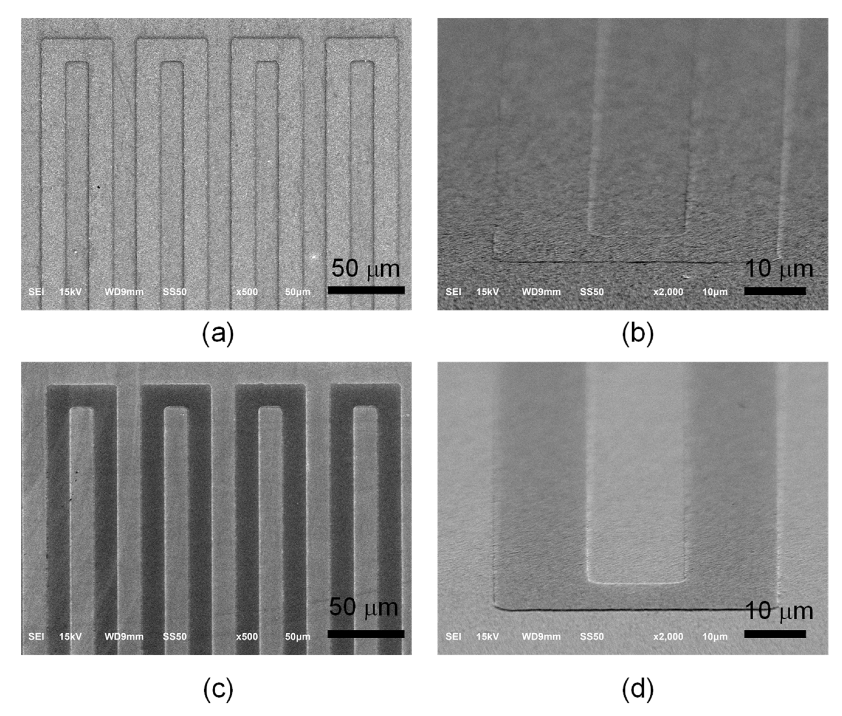 Coatings 13 00705 g003