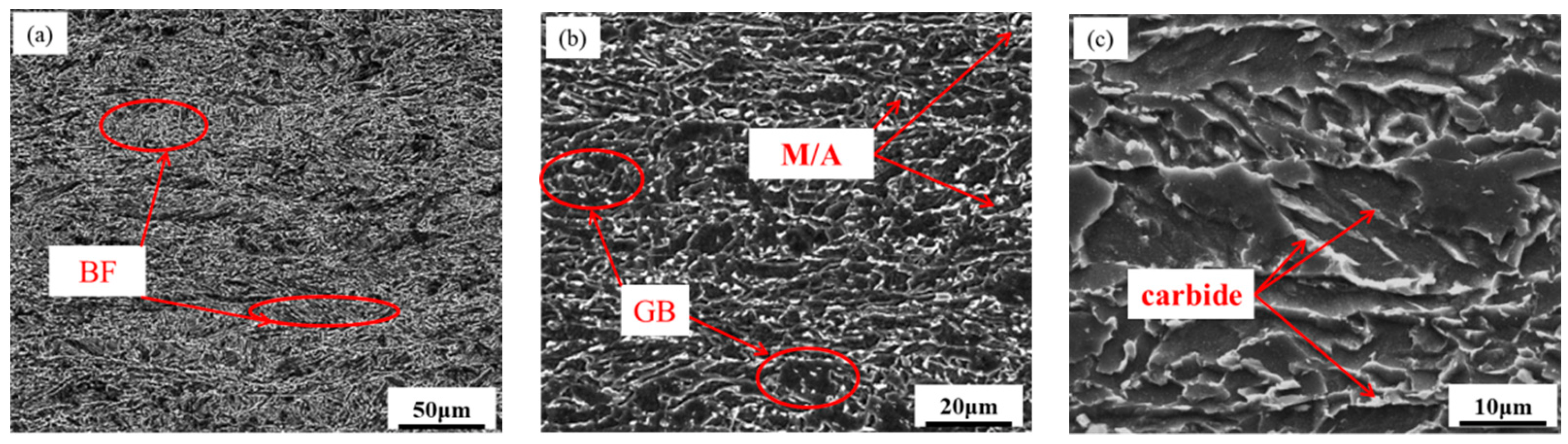 Coatings 13 00706 g001 Coatings 13 00706 g001