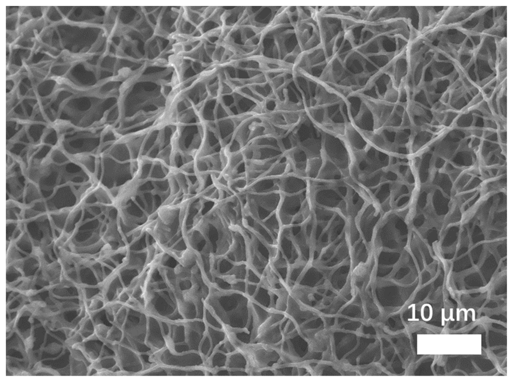 Coatings 13 00707 g011