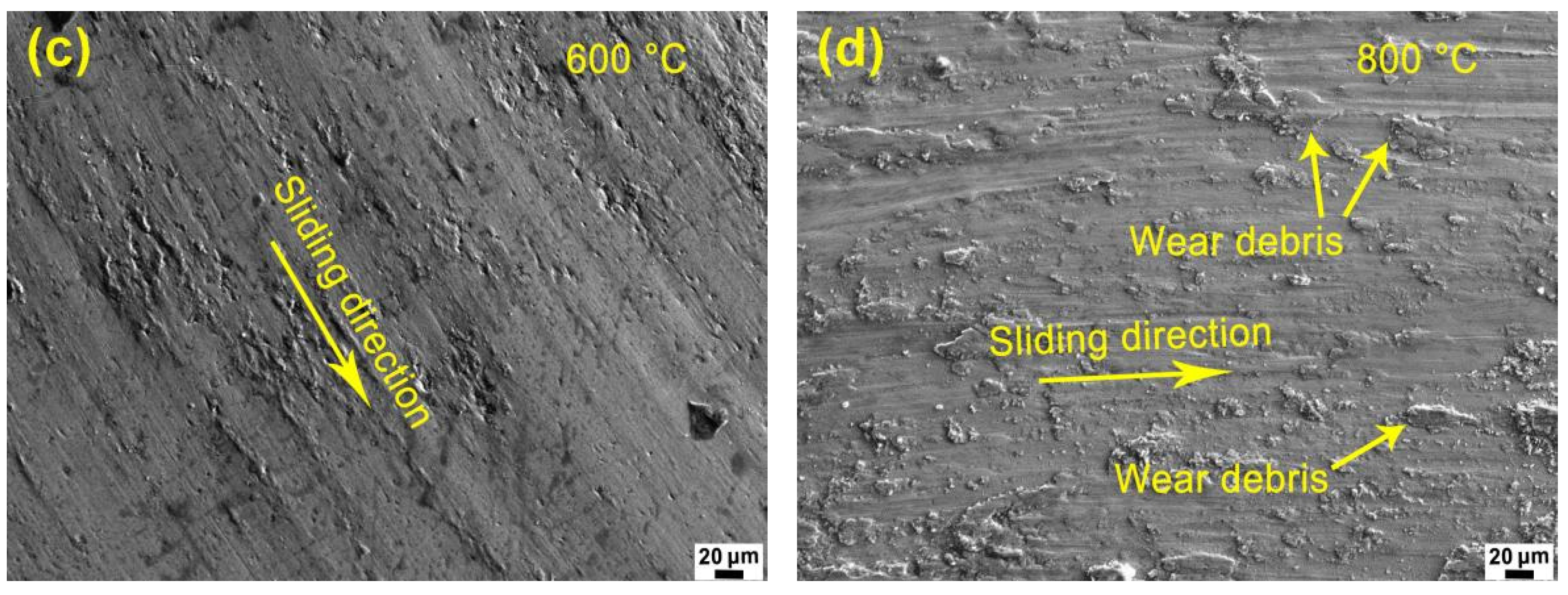 Coatings 13 00711 g009b Coatings 13 00711 g009b