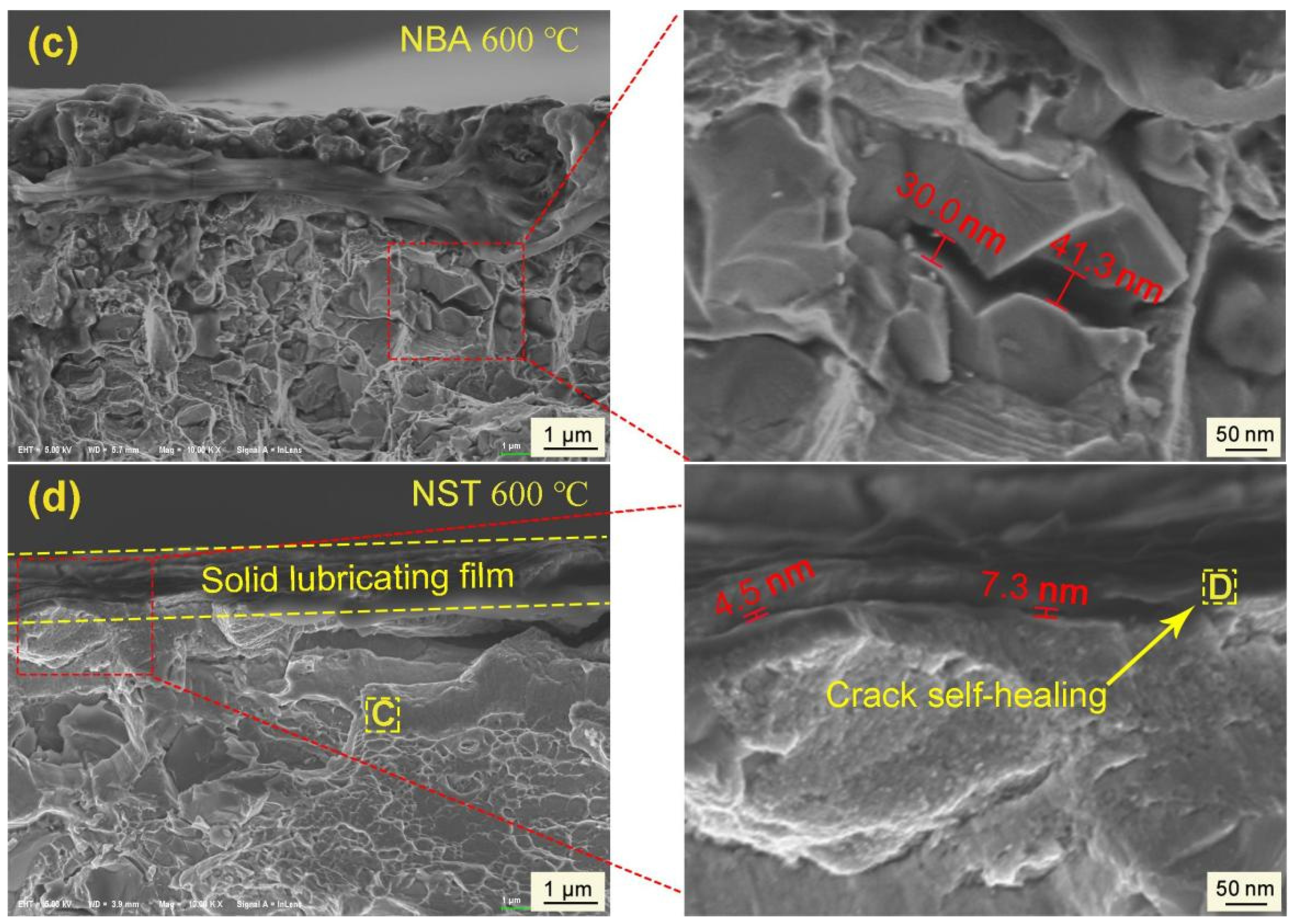 Coatings 13 00711 g013b Coatings 13 00711 g013b