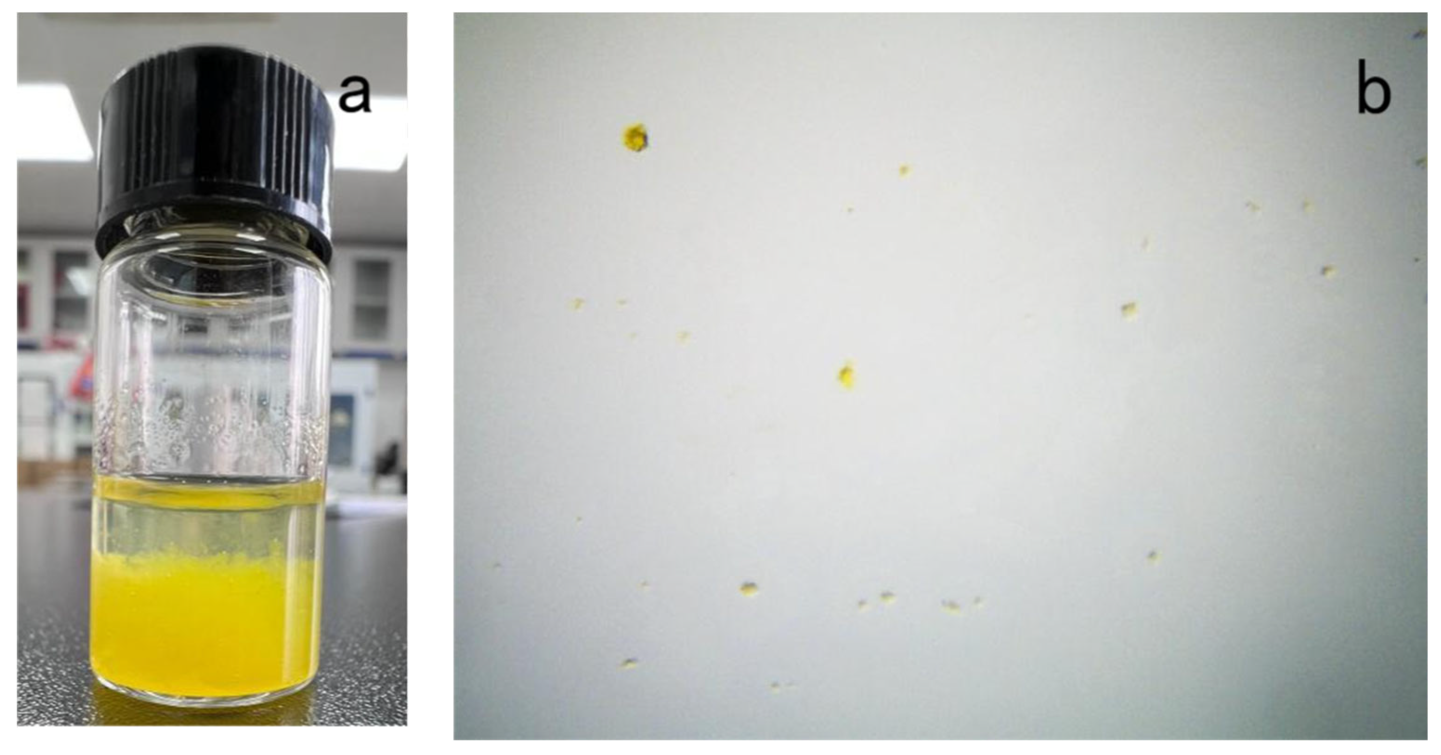 Coatings 13 00714 g006