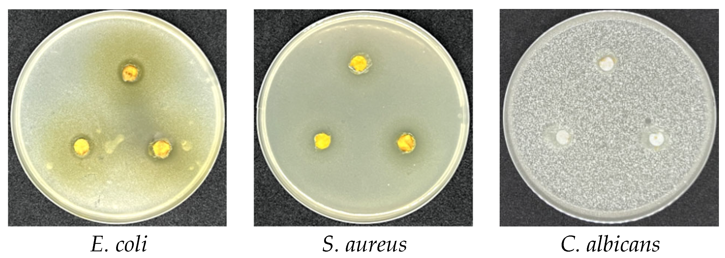 Coatings 13 00714 g010