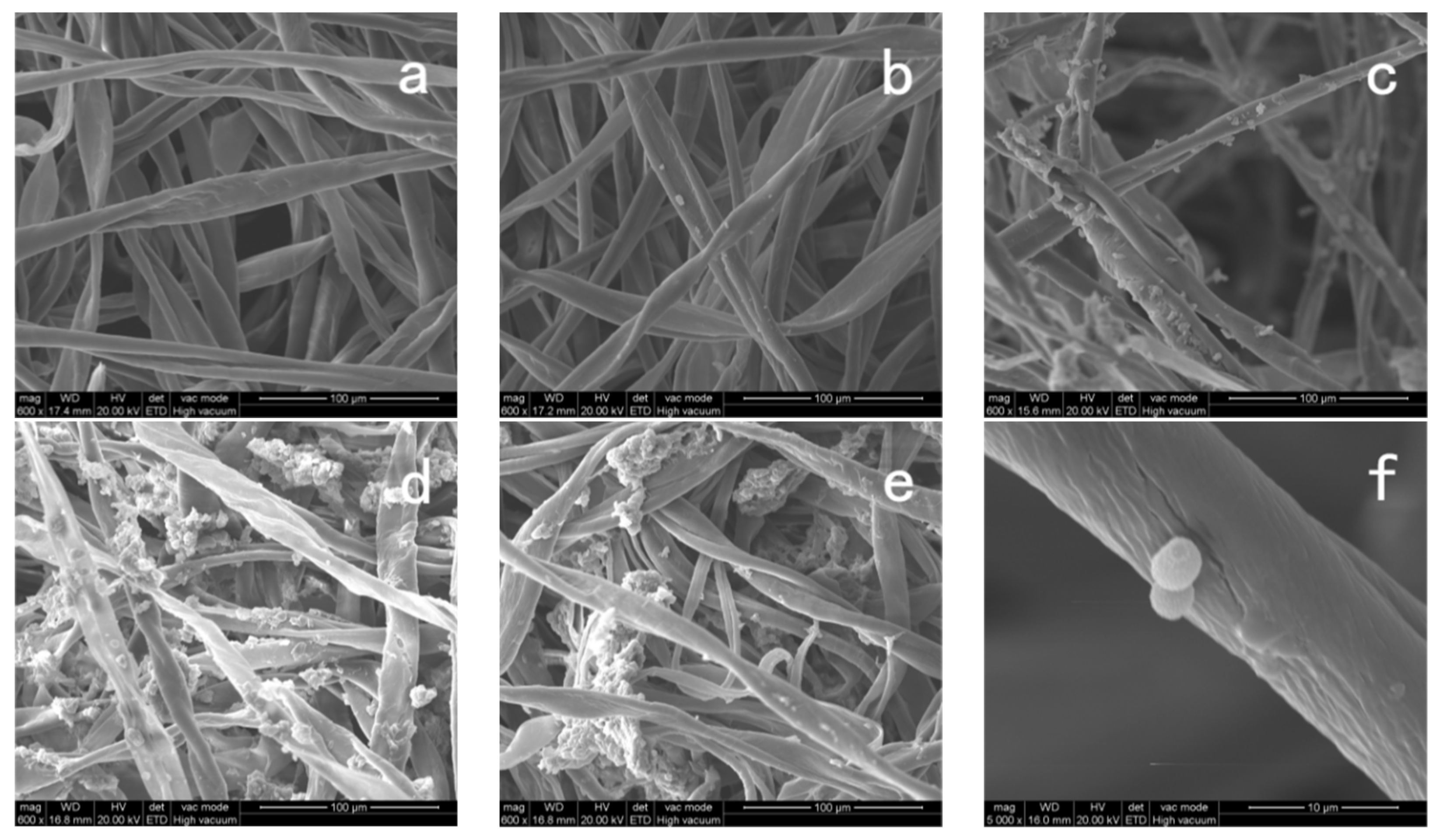 Coatings 13 00714 g011