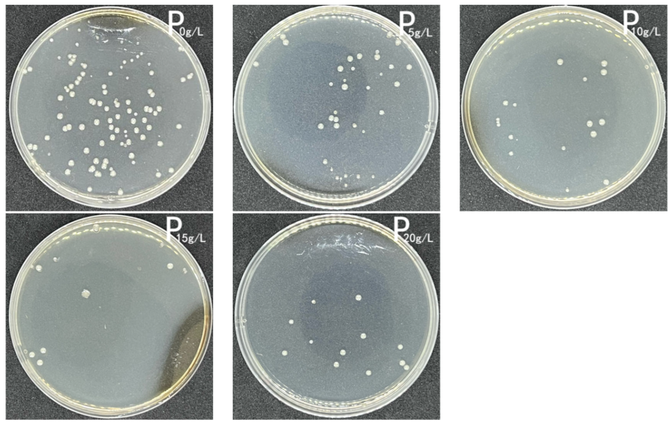 Coatings 13 00714 g012
