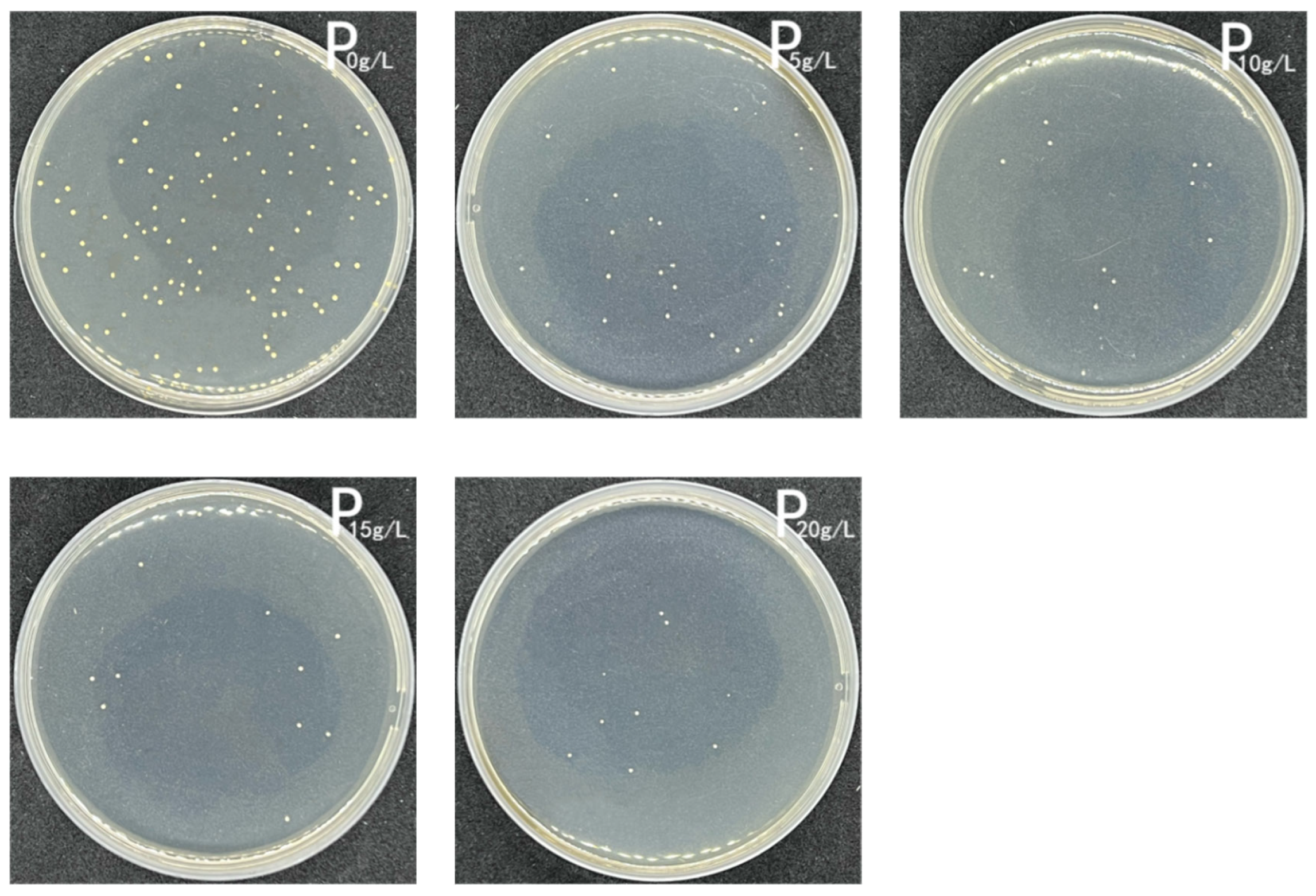 Coatings 13 00714 g013