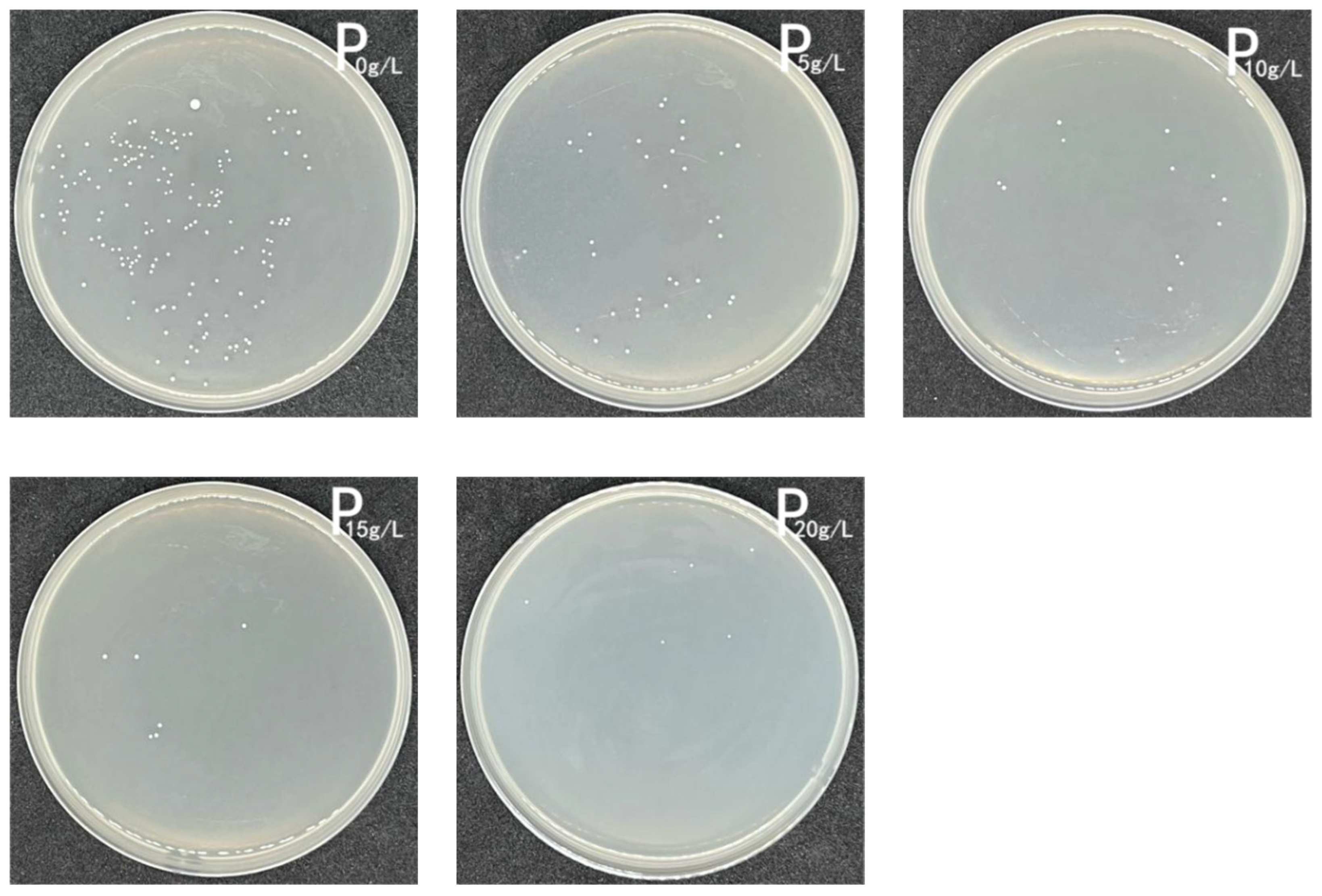 Coatings 13 00714 g014