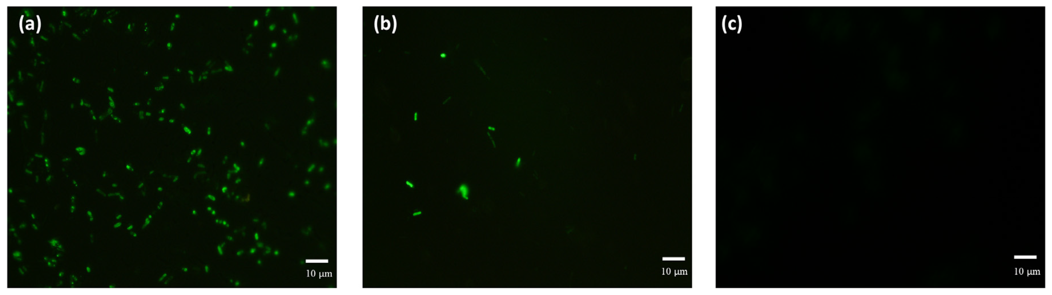 Coatings 13 00715 g007 Coatings 13 00715 g007