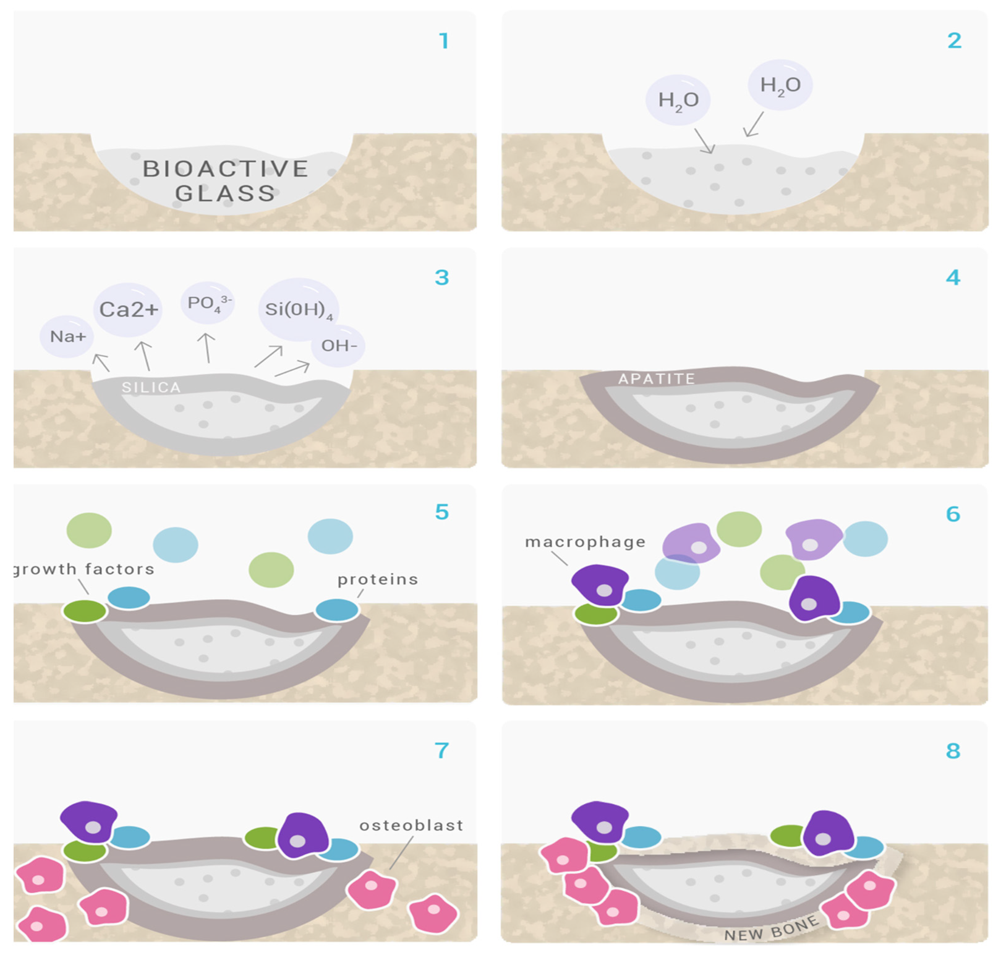 Coatings 13 00716 g002