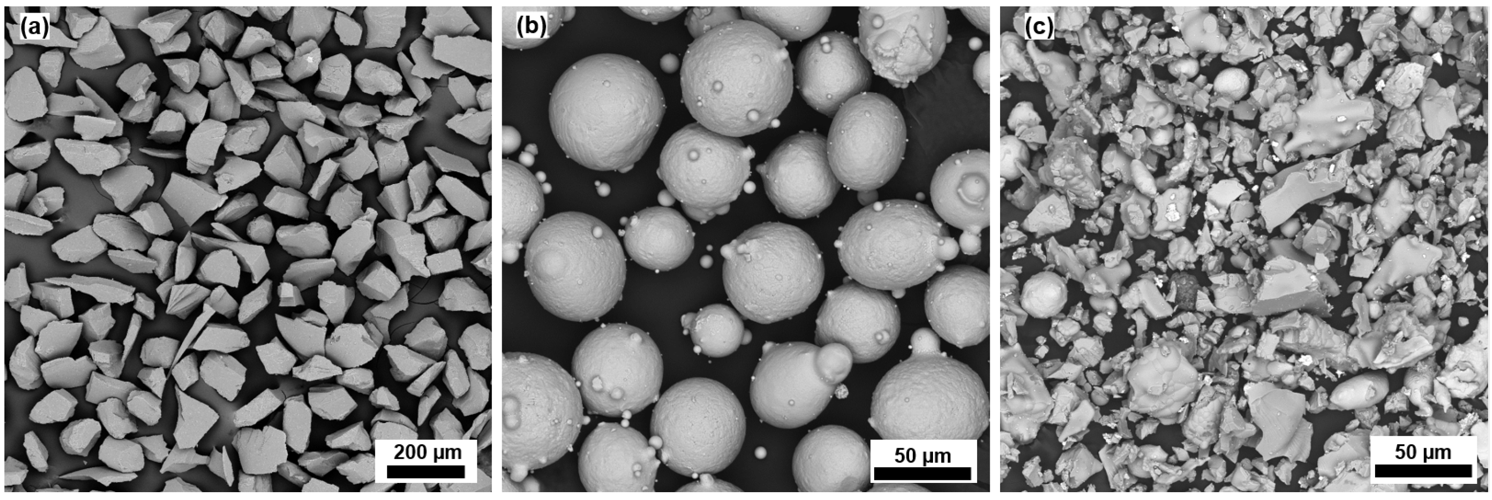 Coatings 13 00720 g001
