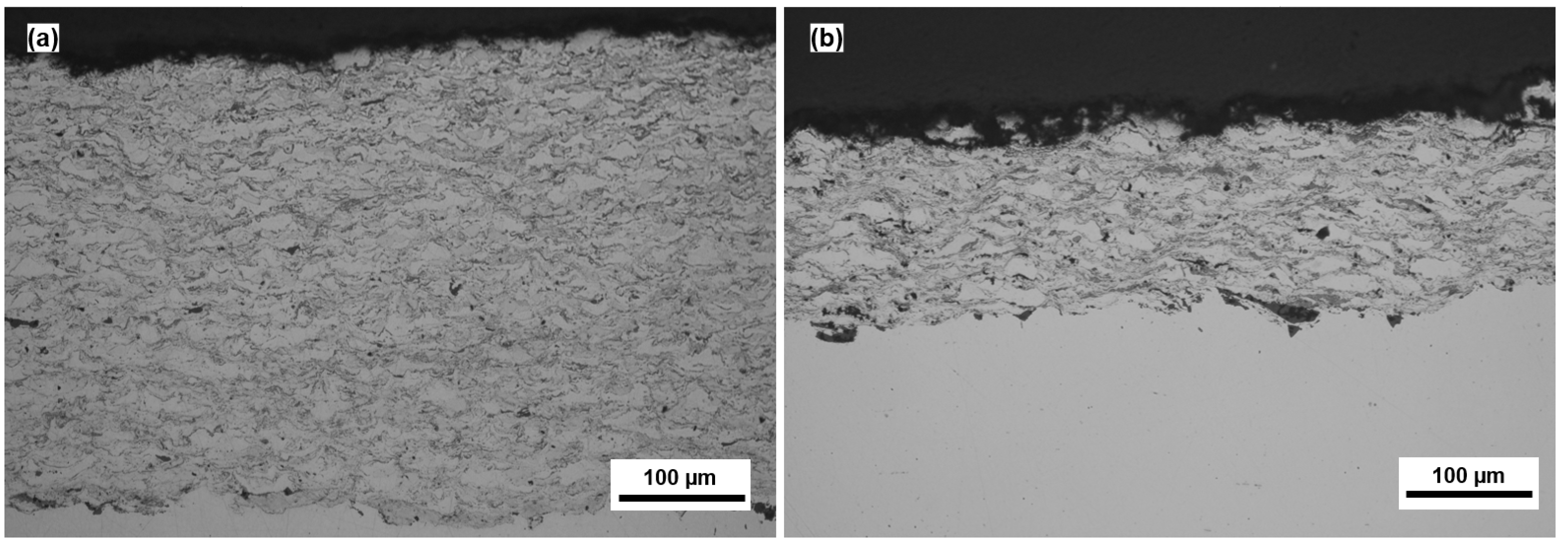 Coatings 13 00720 g002