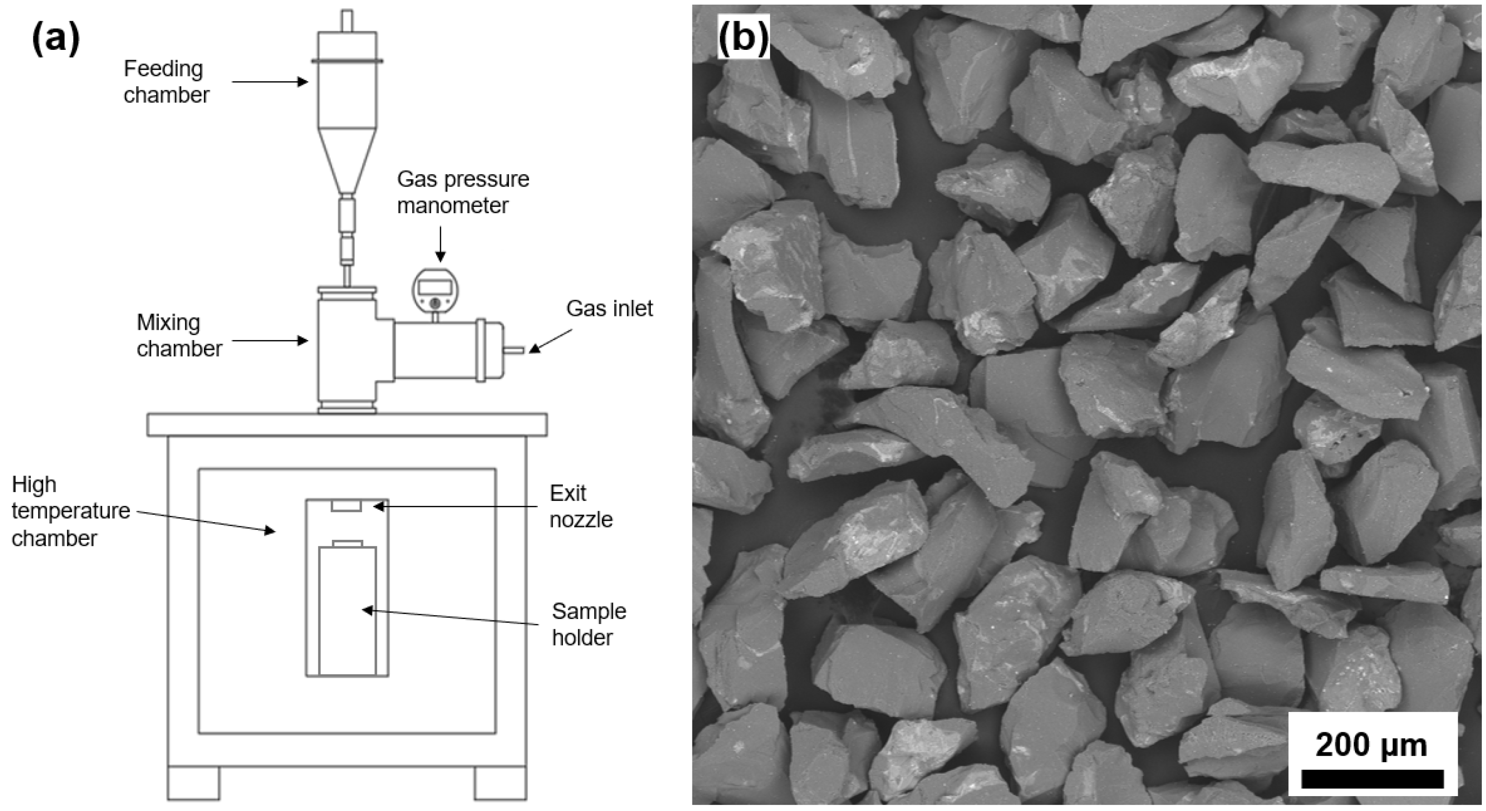 Coatings 13 00720 g003