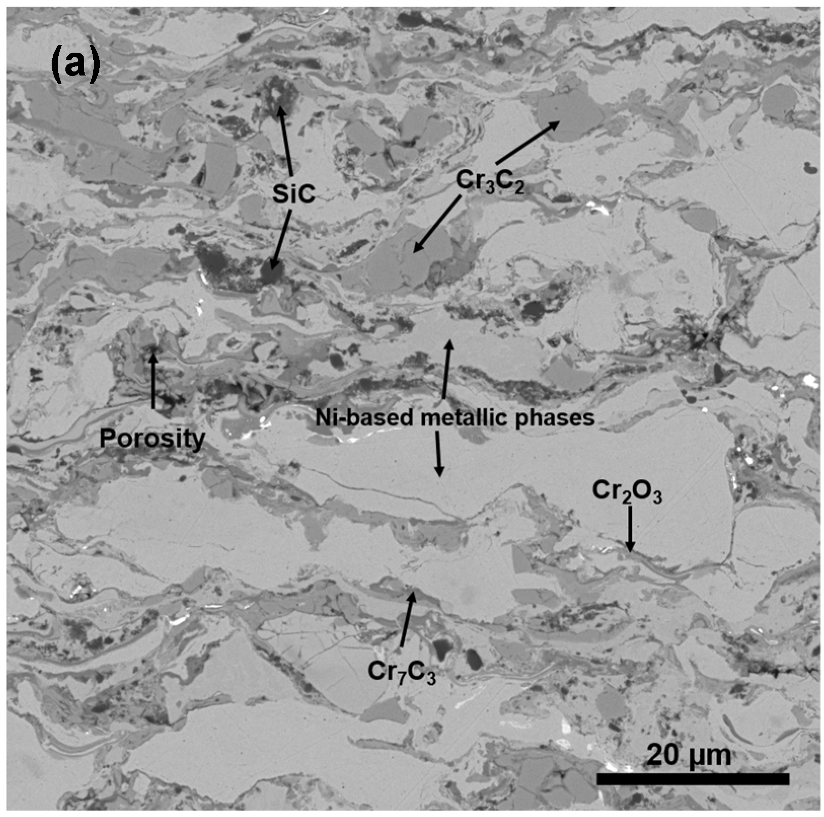 Coatings 13 00720 g006a