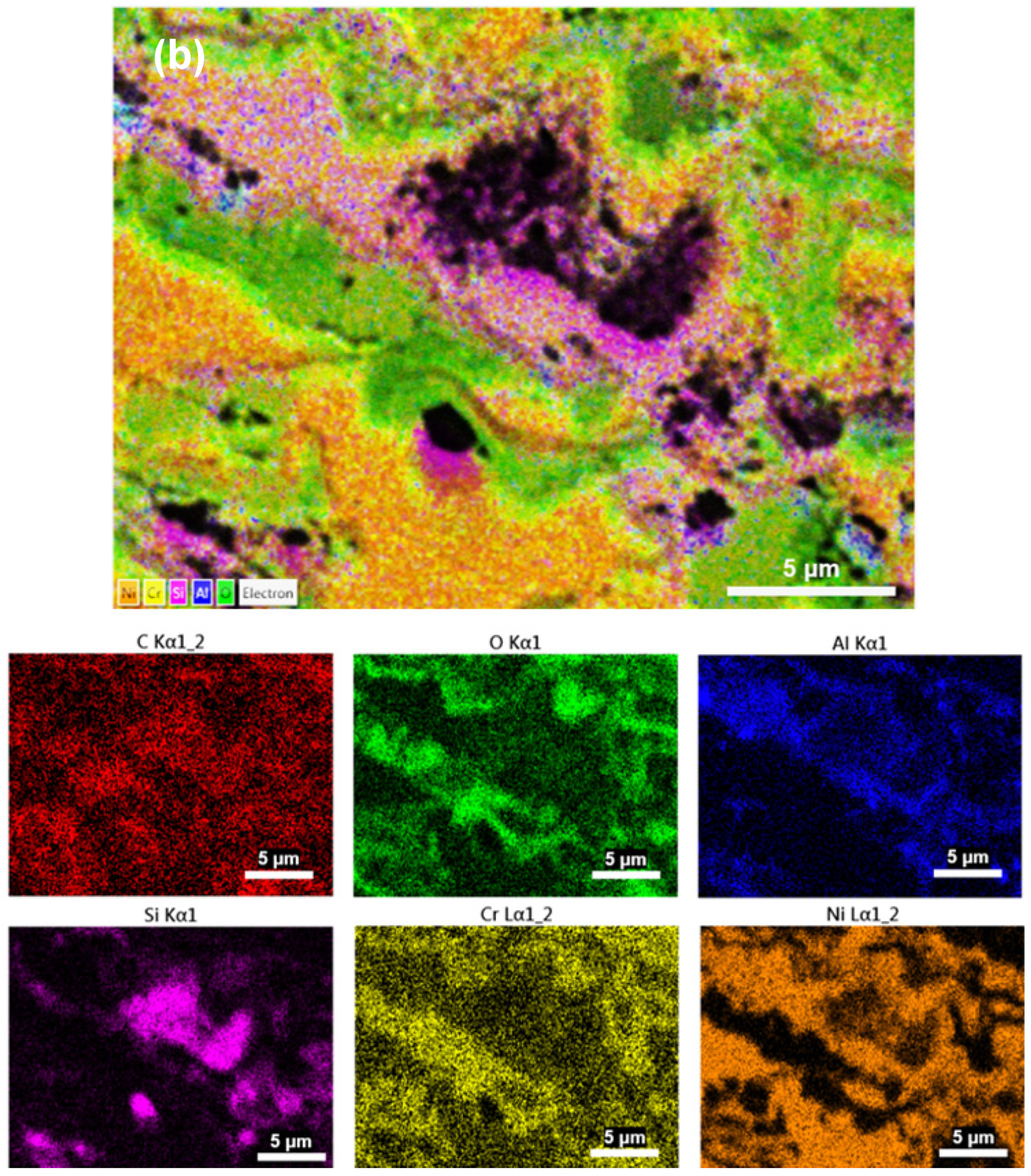 Coatings 13 00720 g006b