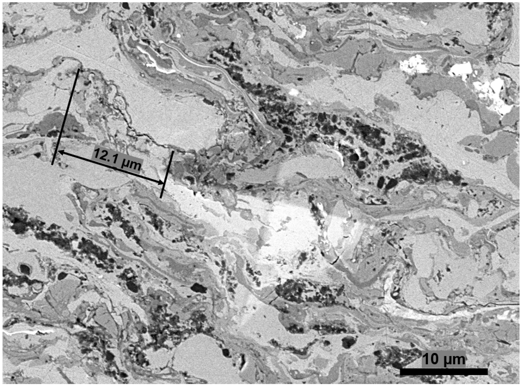 Coatings 13 00720 g007
