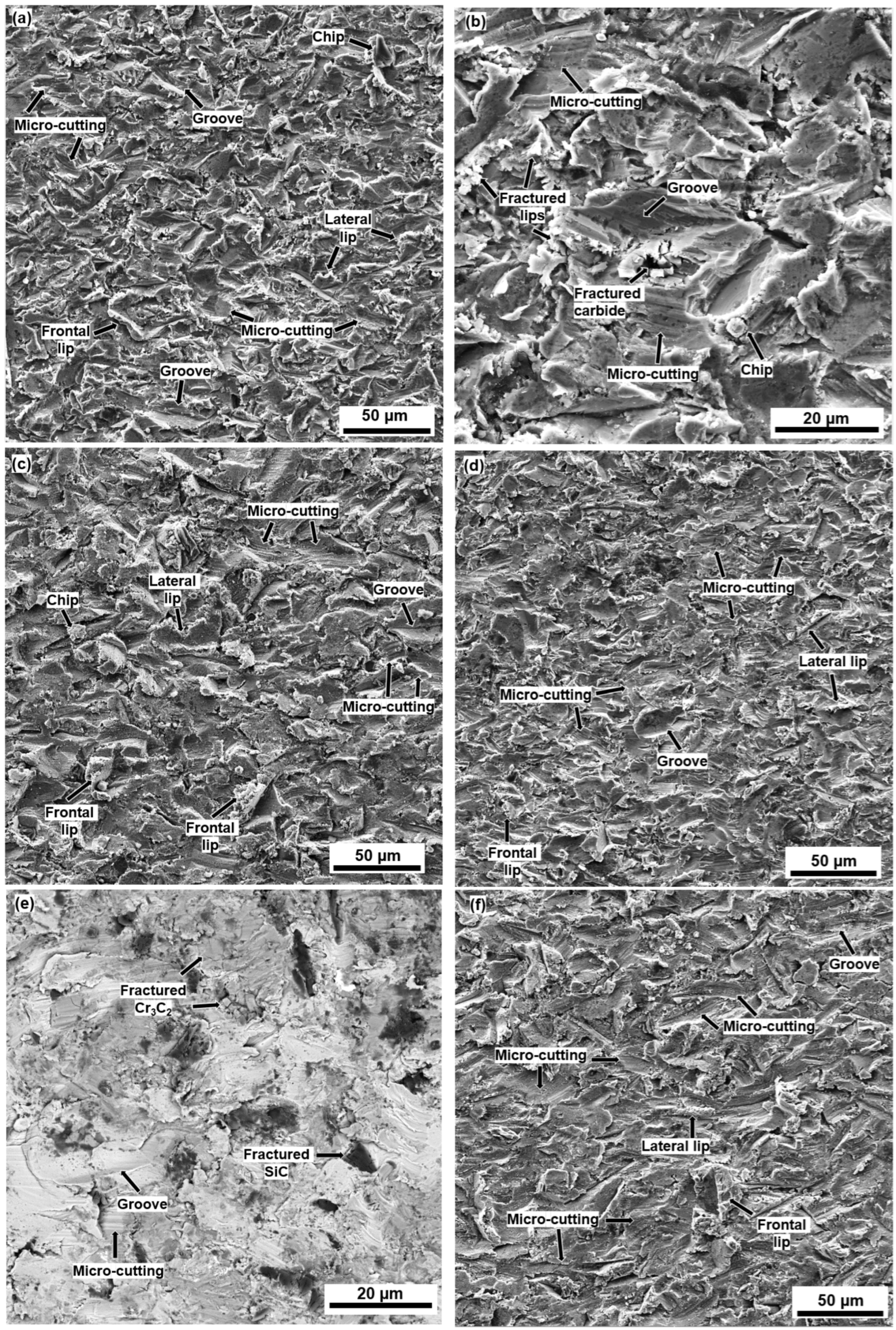 Coatings 13 00720 g011