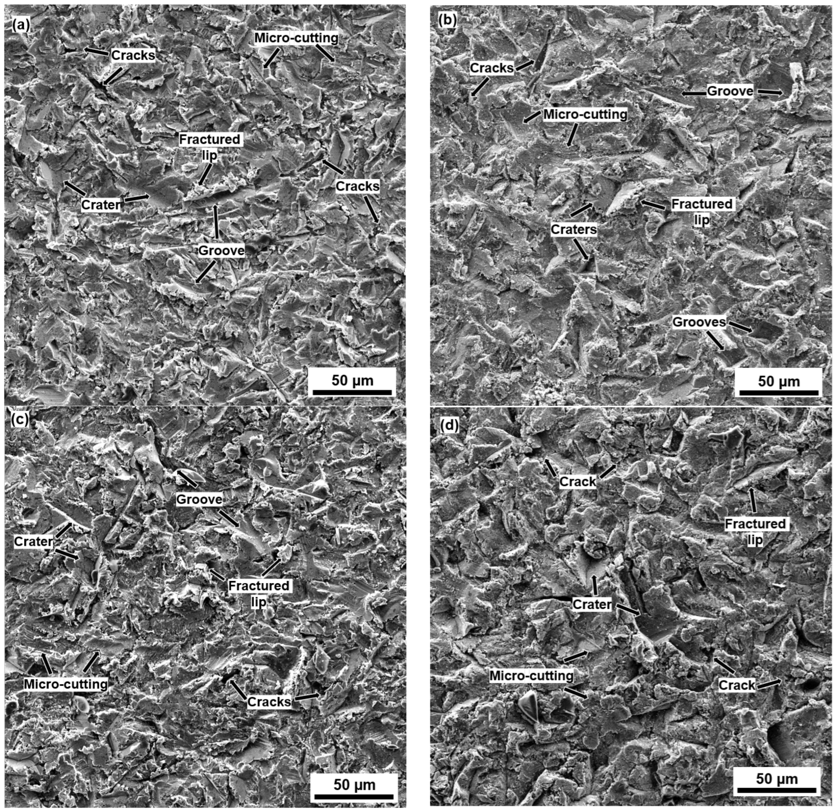 Coatings 13 00720 g013a