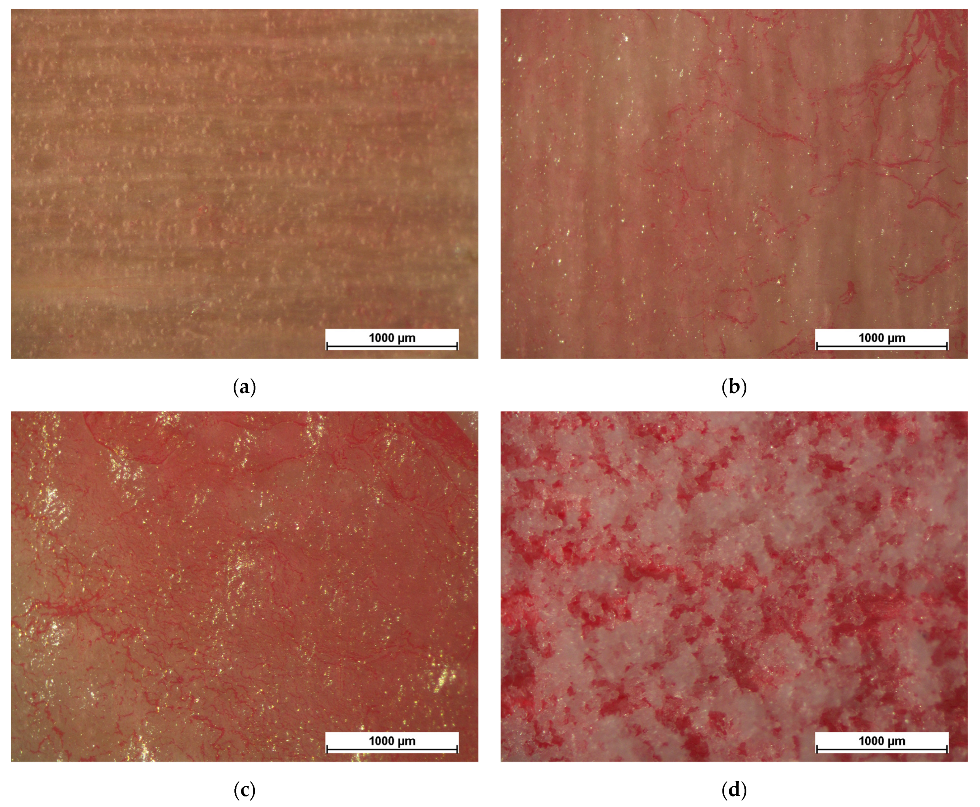 Coatings 13 00721 g009 Coatings 13 00721 g009