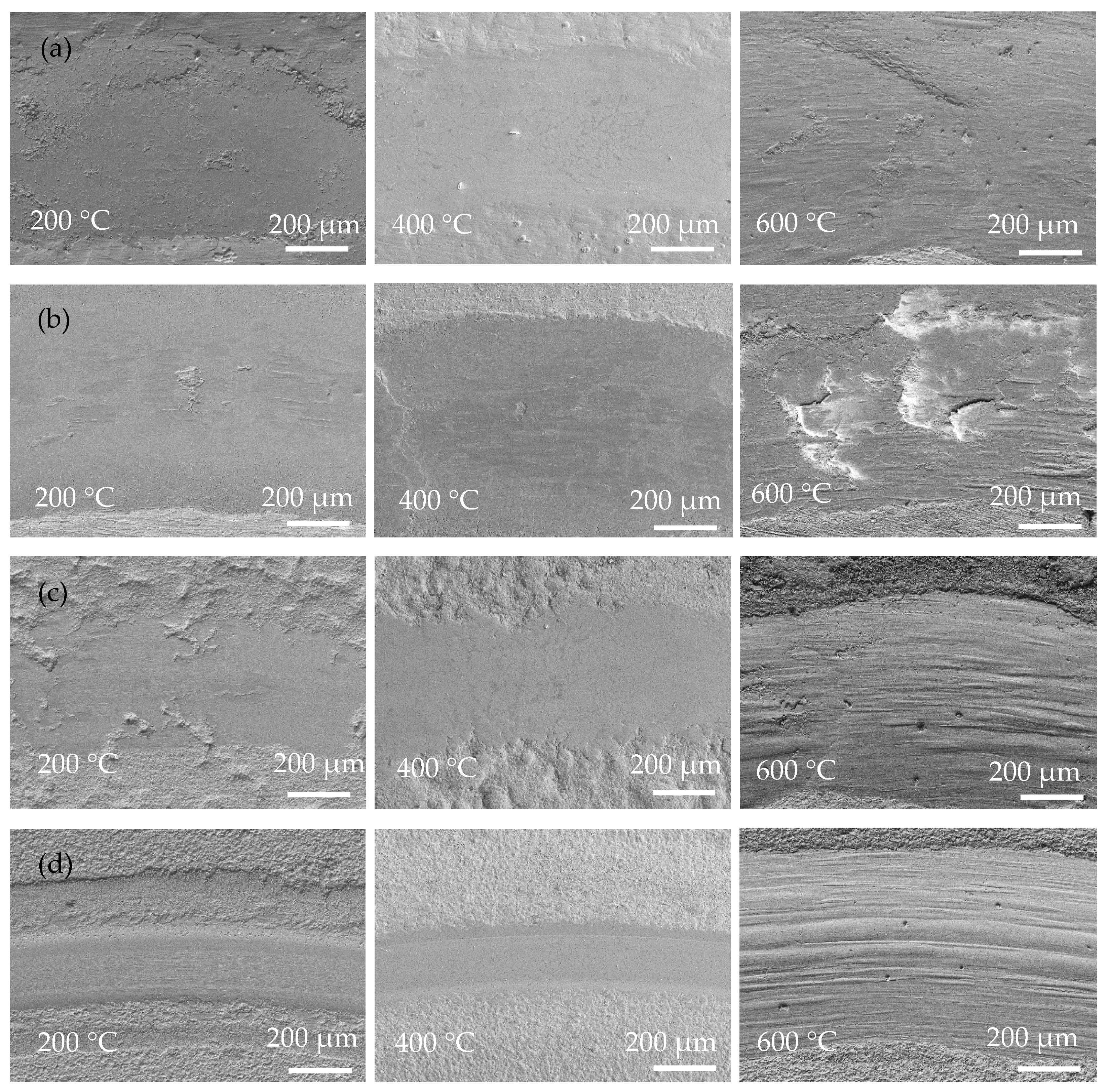 Coatings 13 00723 g008