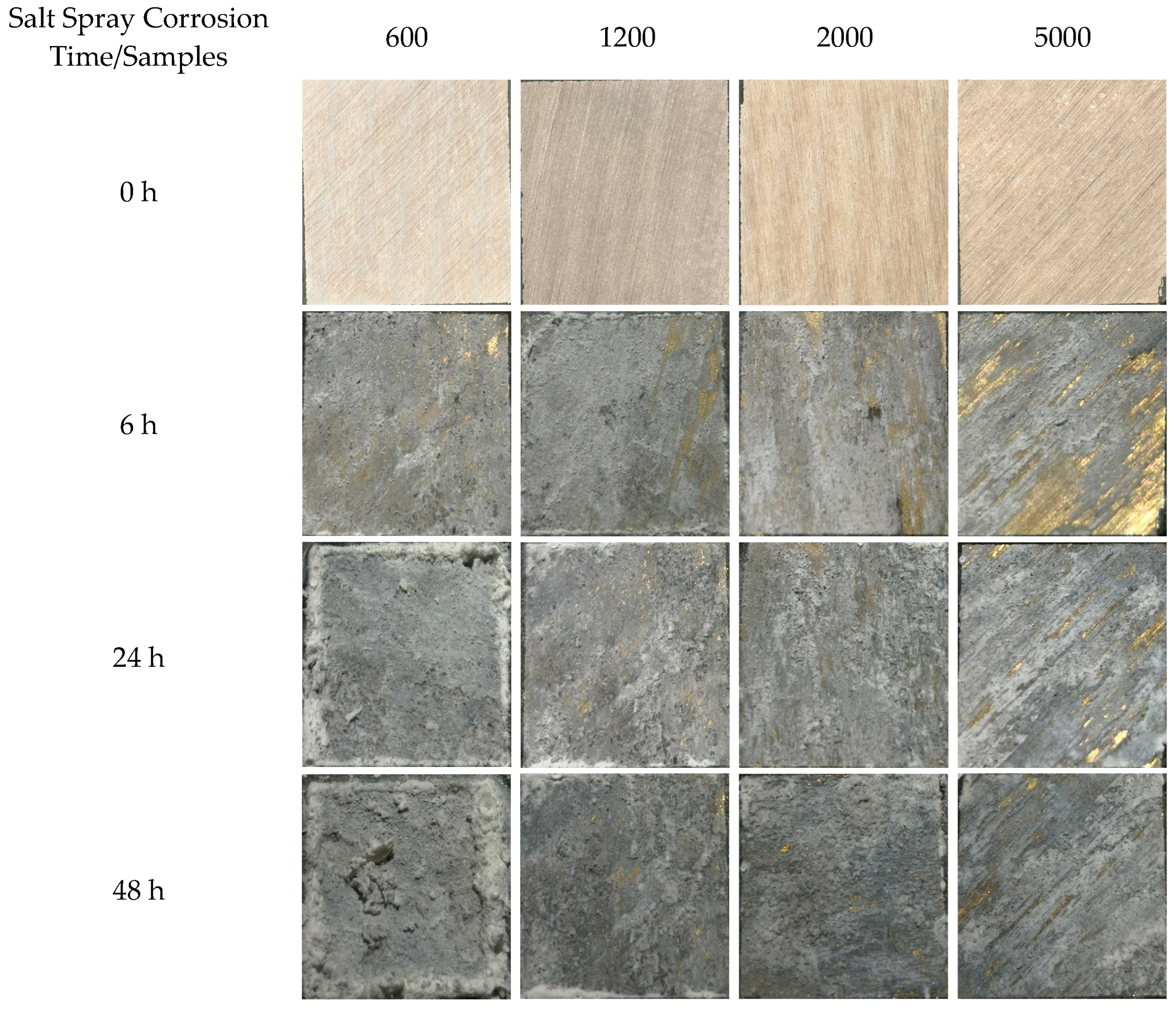 Coatings 13 00724 g009 Coatings 13 00724 g009