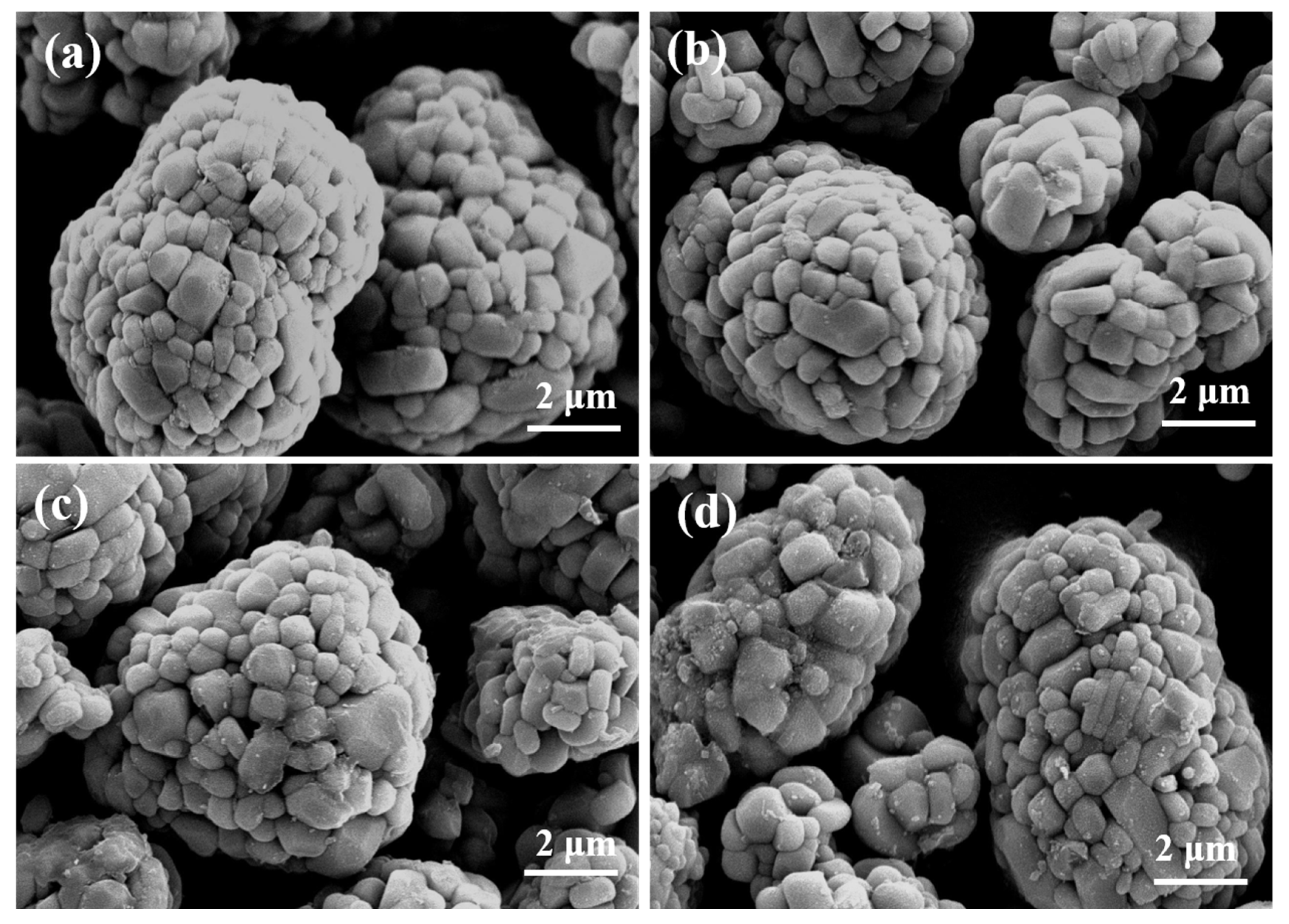 Coatings 13 00727 g003 Coatings 13 00727 g003