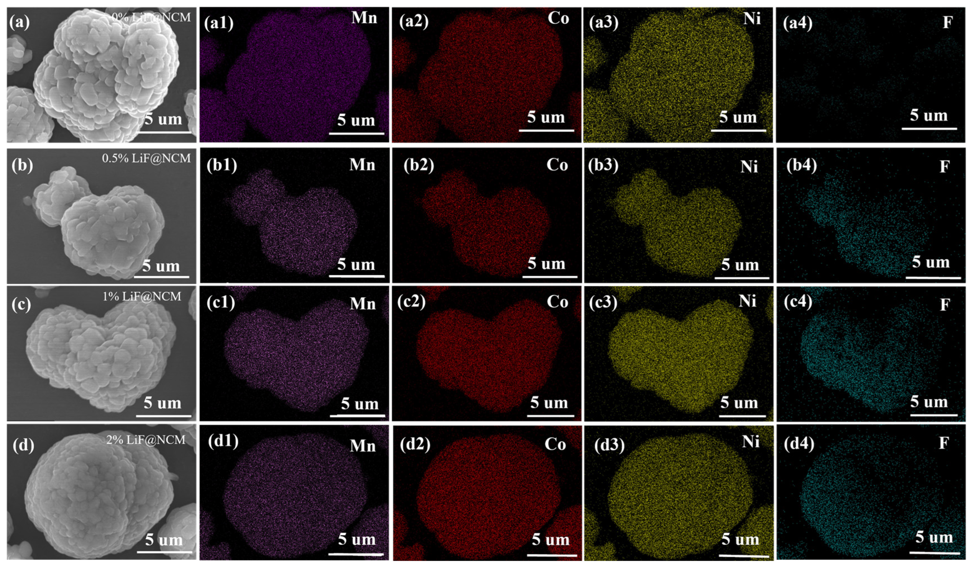 Coatings 13 00727 g004 Coatings 13 00727 g004