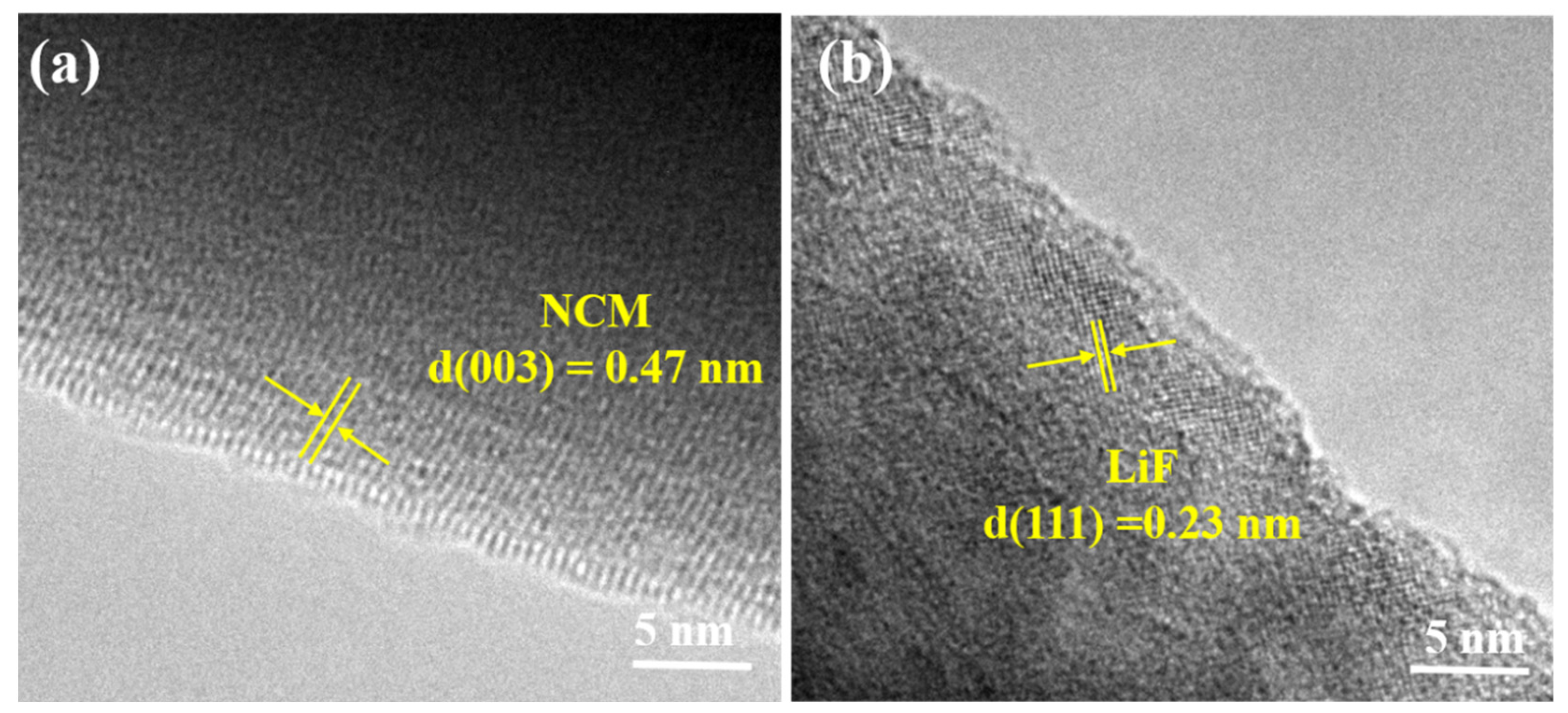 Coatings 13 00727 g005 Coatings 13 00727 g005