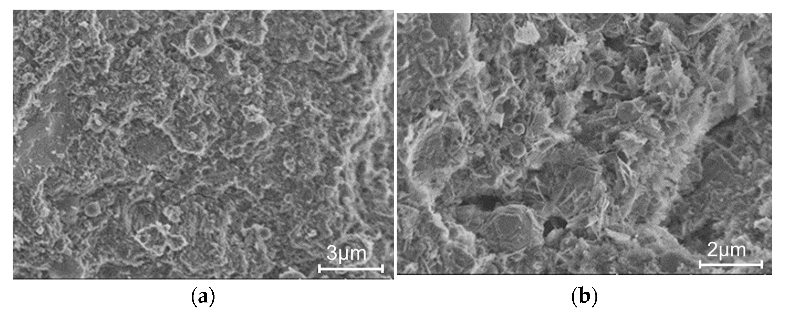 Coatings 13 00729 g013 Coatings 13 00729 g013