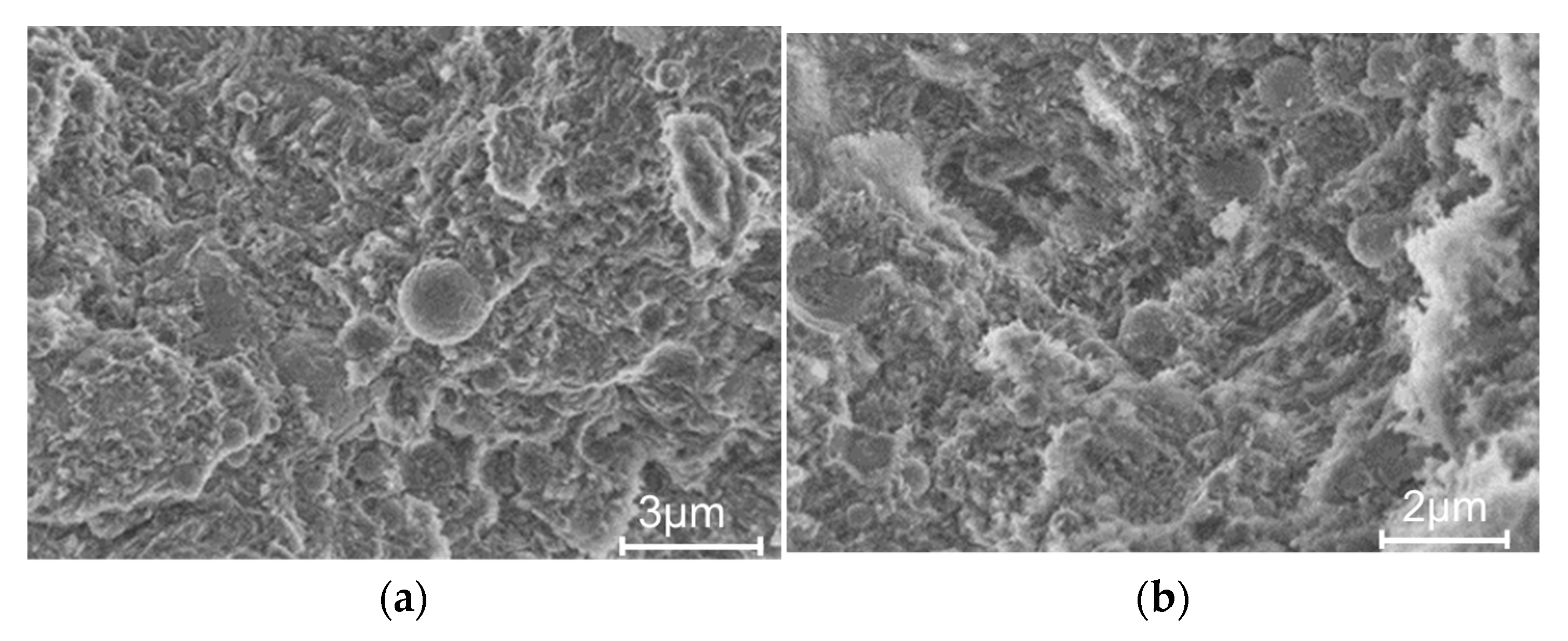 Coatings 13 00729 g014 Coatings 13 00729 g014