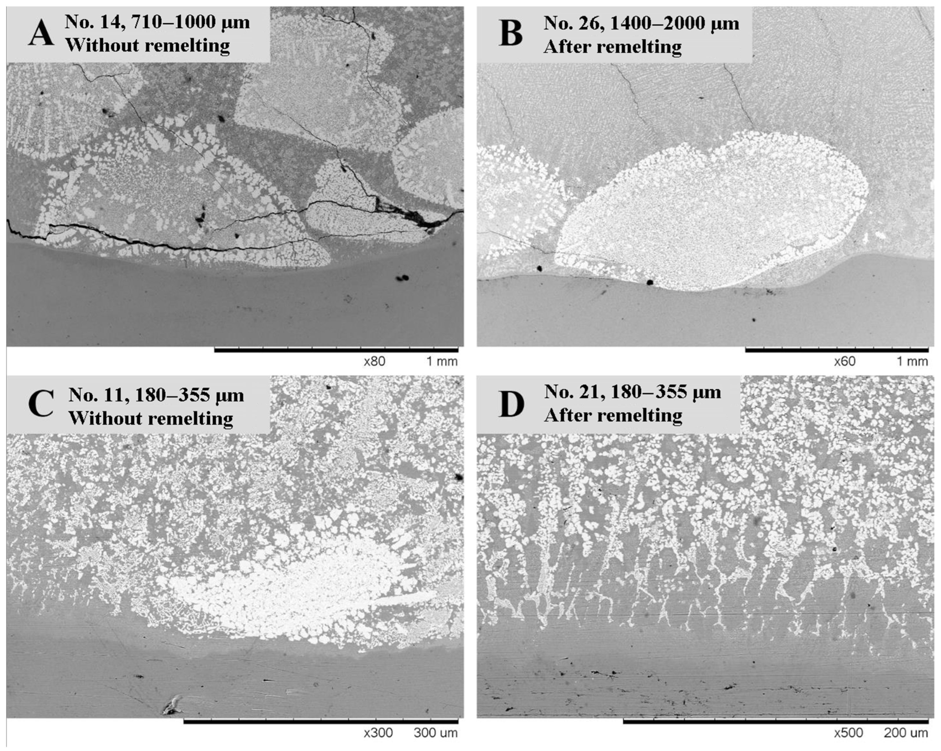 Coatings 13 00734 g004