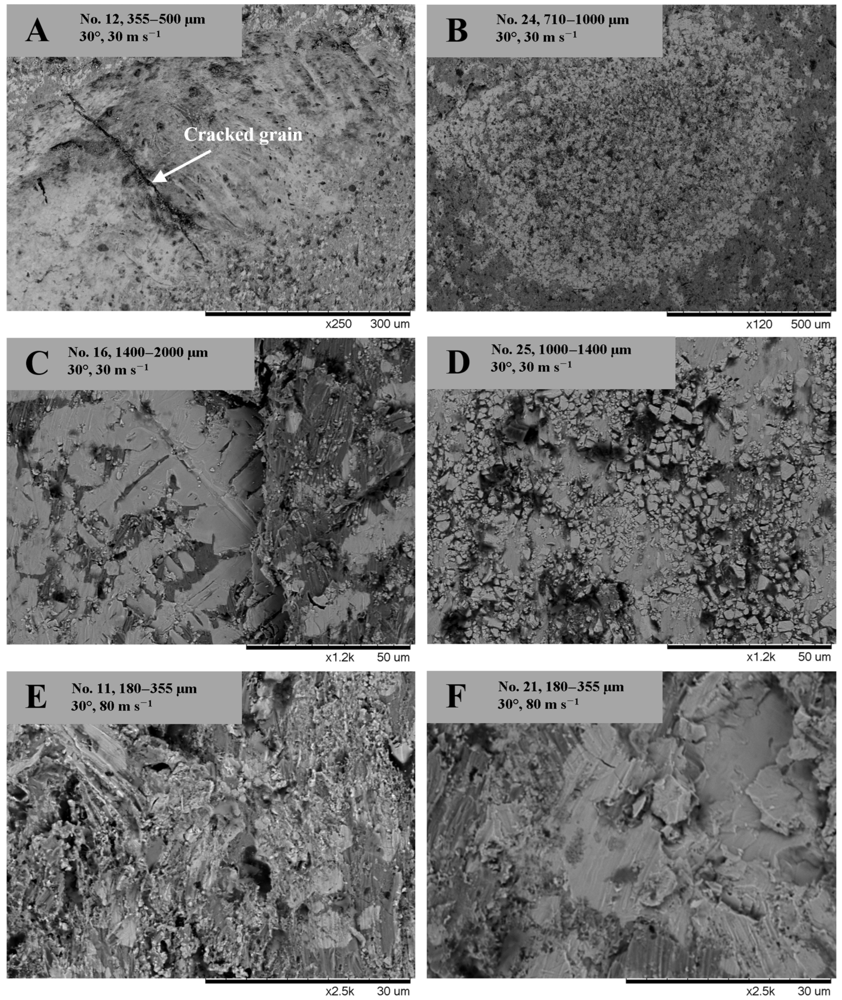 Coatings 13 00734 g008