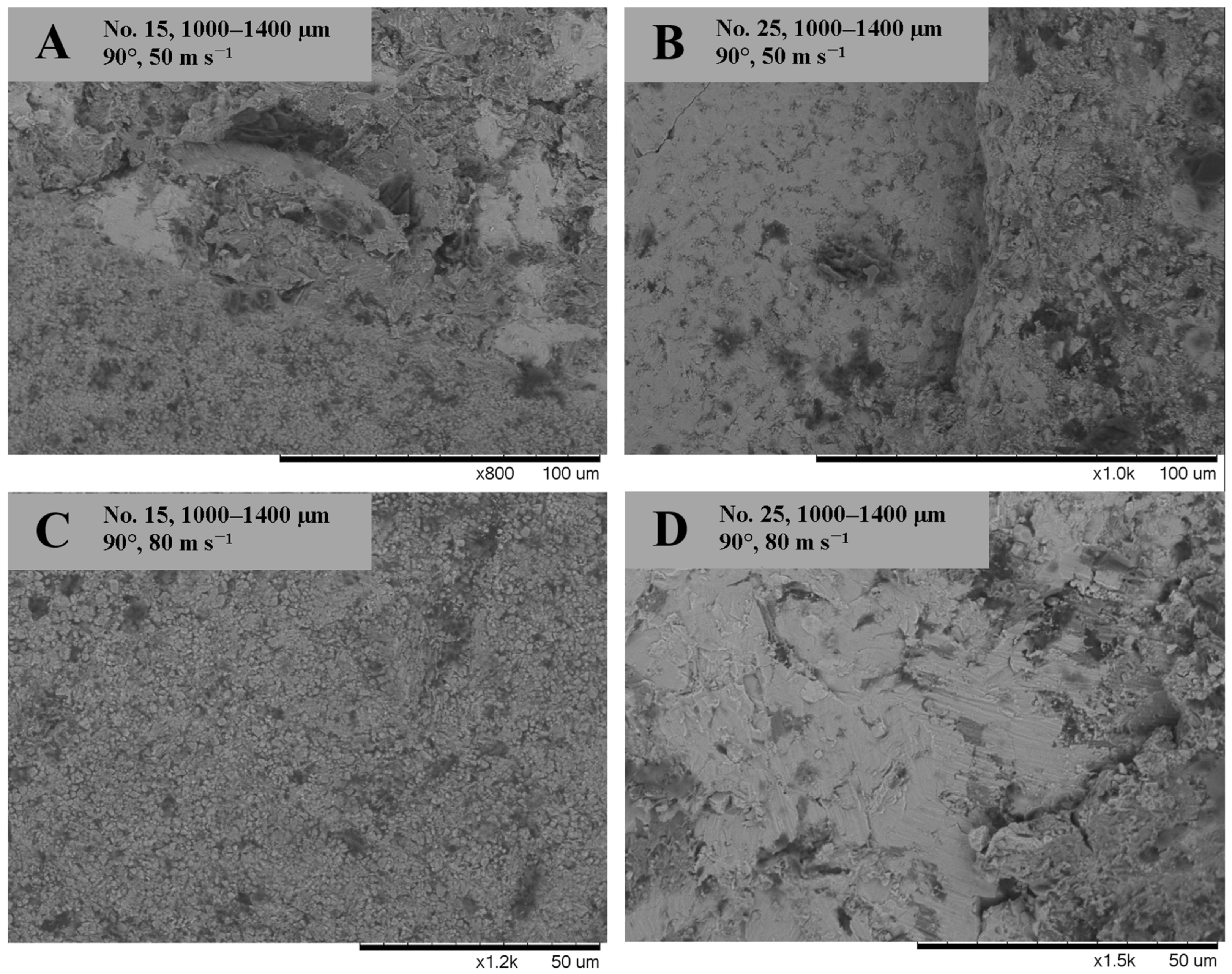 Coatings 13 00734 g009