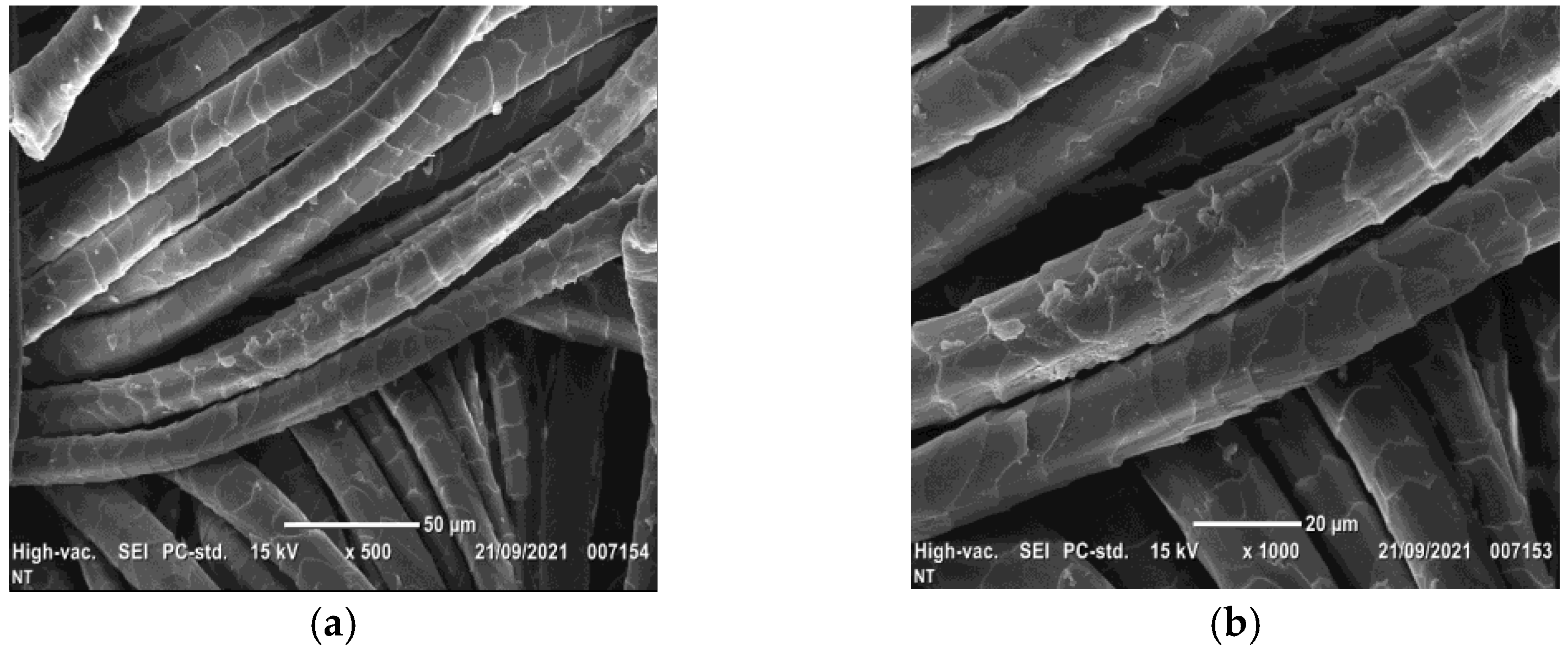 Coatings 13 00736 g005 Coatings 13 00736 g005