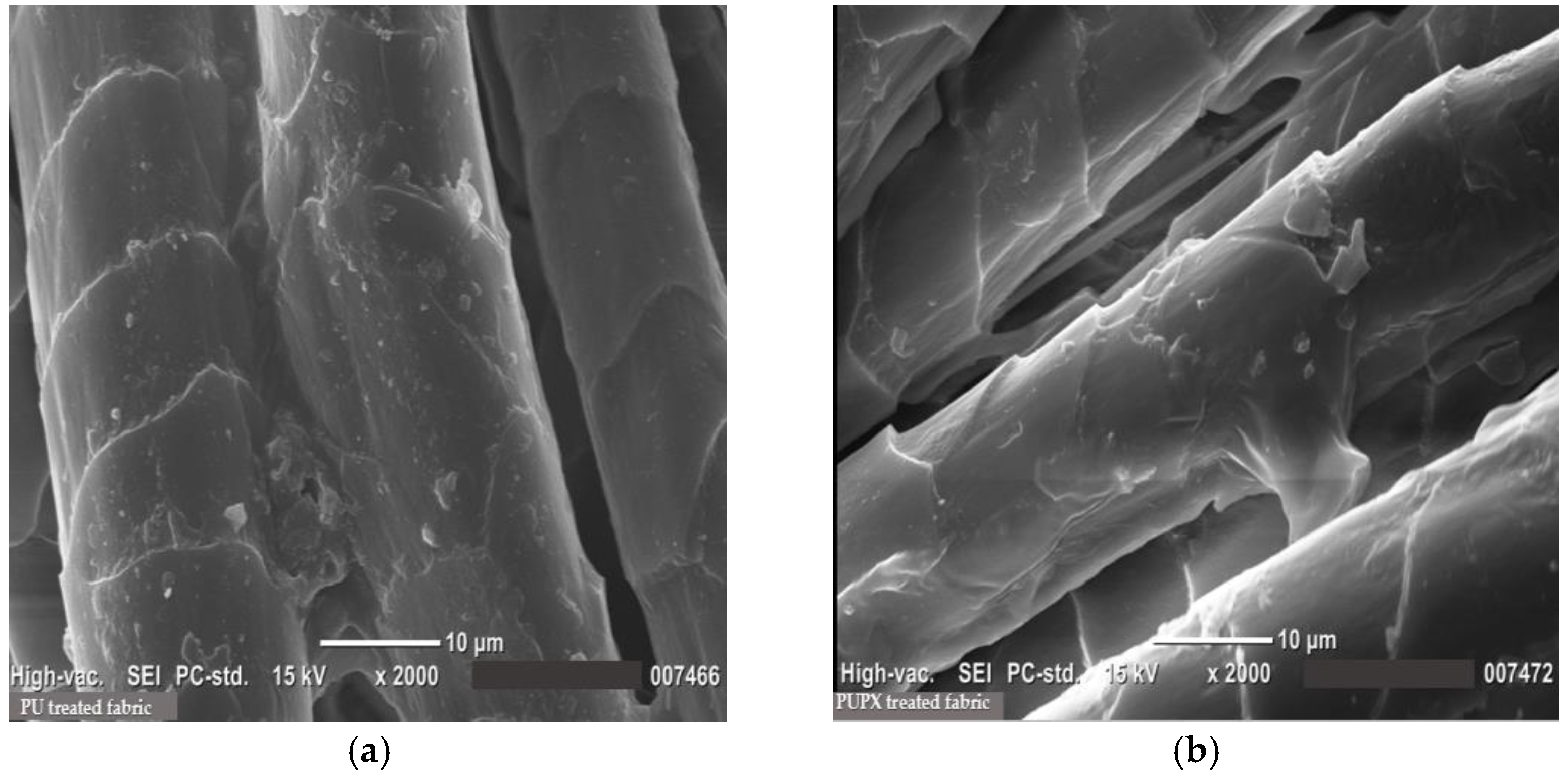 Coatings 13 00736 g006 Coatings 13 00736 g006