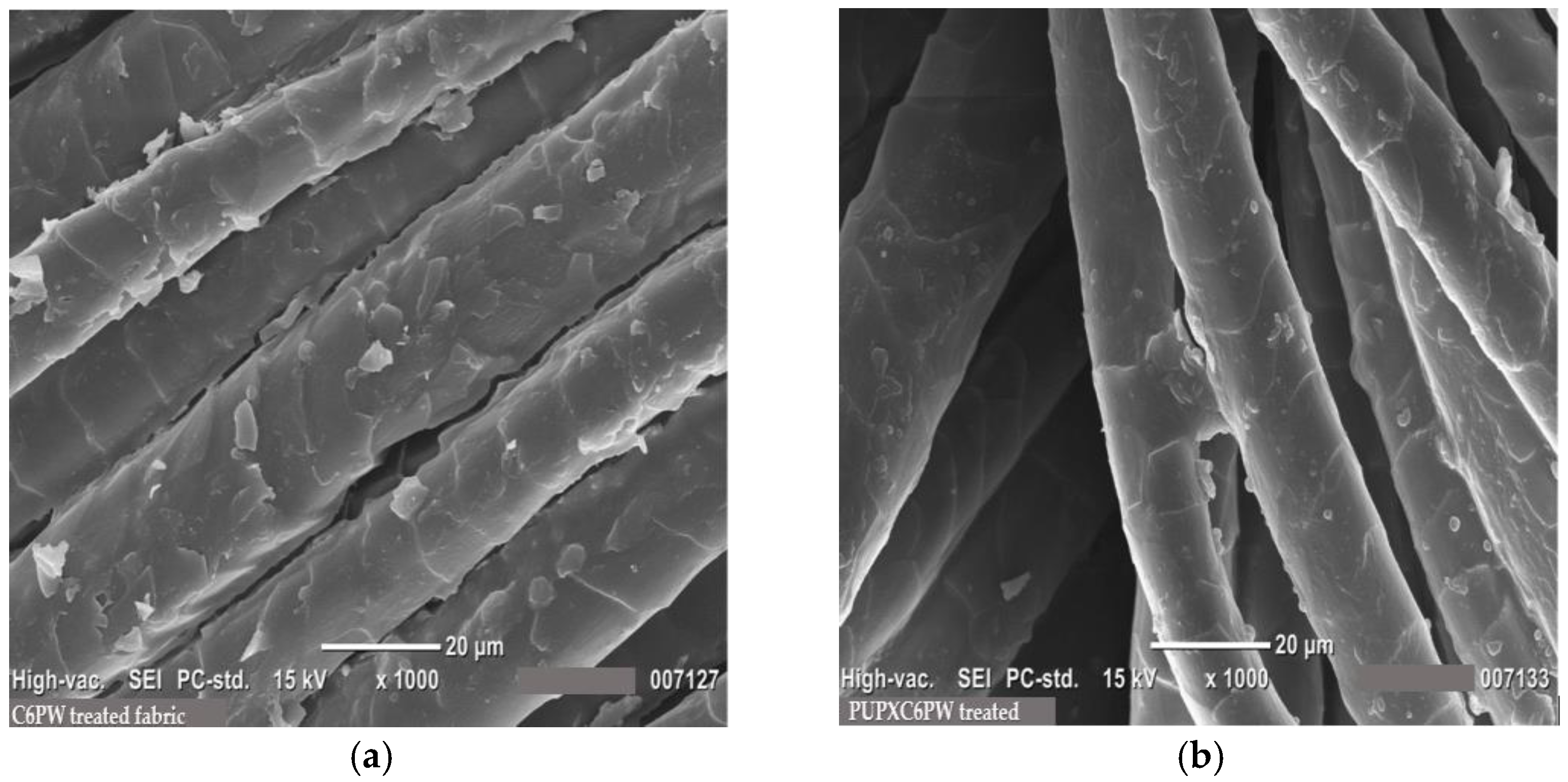 Coatings 13 00736 g007 Coatings 13 00736 g007