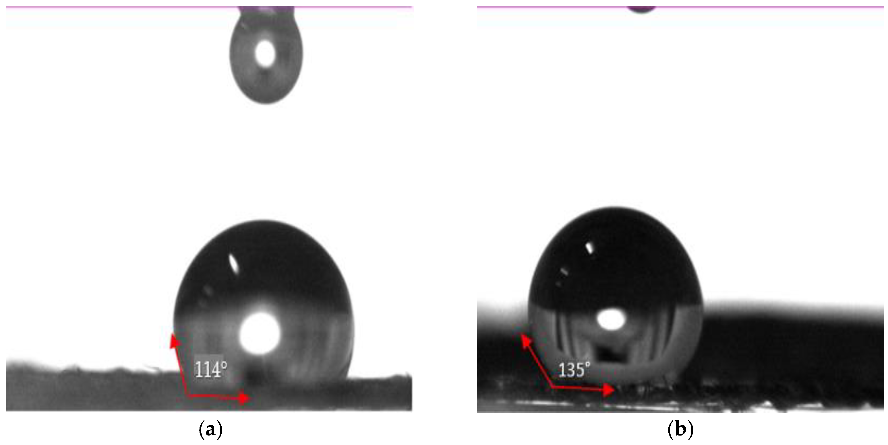 Coatings 13 00736 g008 Coatings 13 00736 g008
