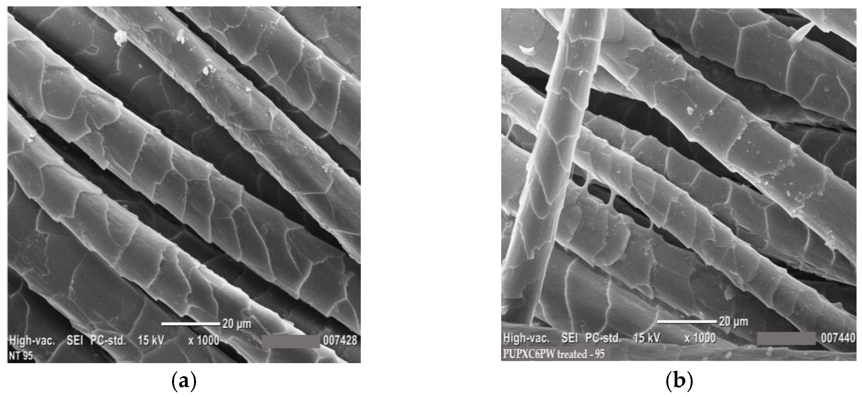 Coatings 13 00736 g013 Coatings 13 00736 g013